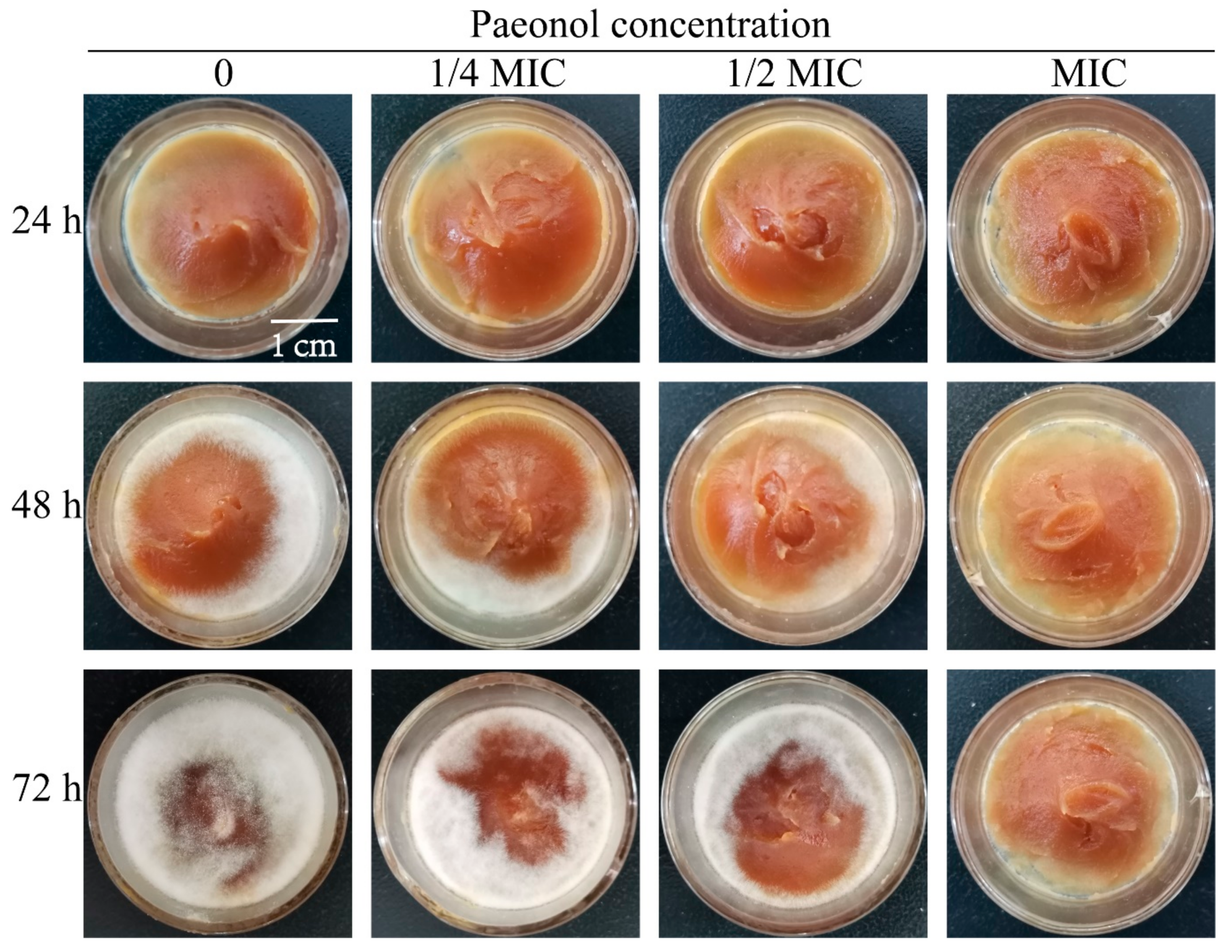Foods 10 02951 g007 Foods 10 02951 g007