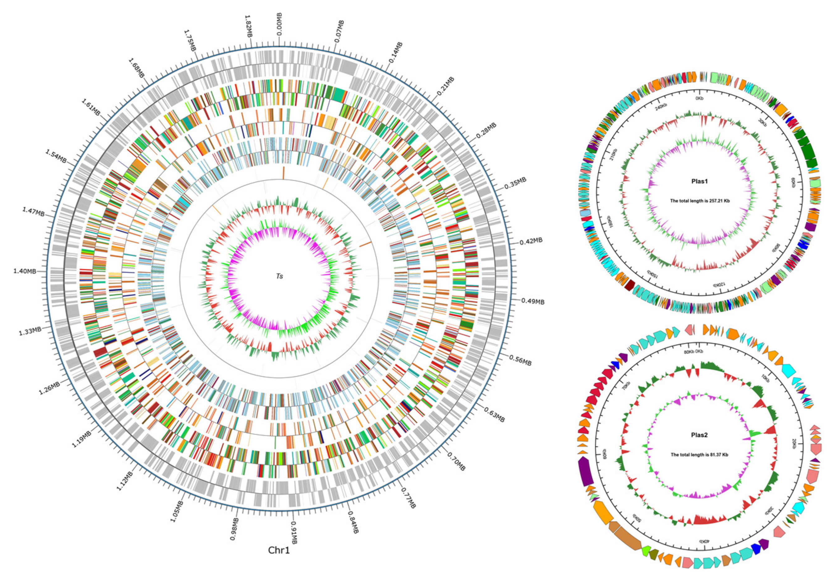 Foods 10 02962 g002 550