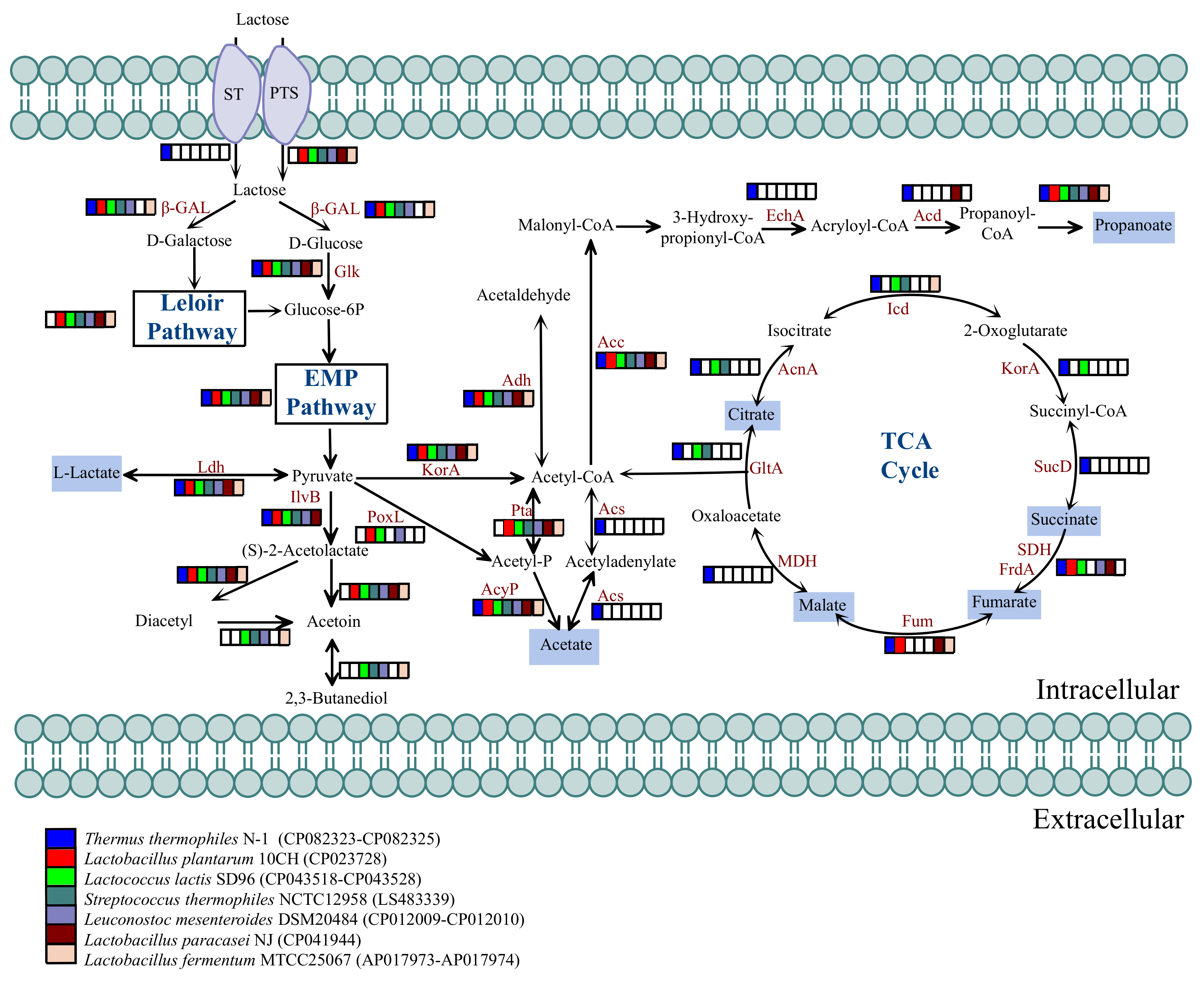 Foods 10 02962 g004 550