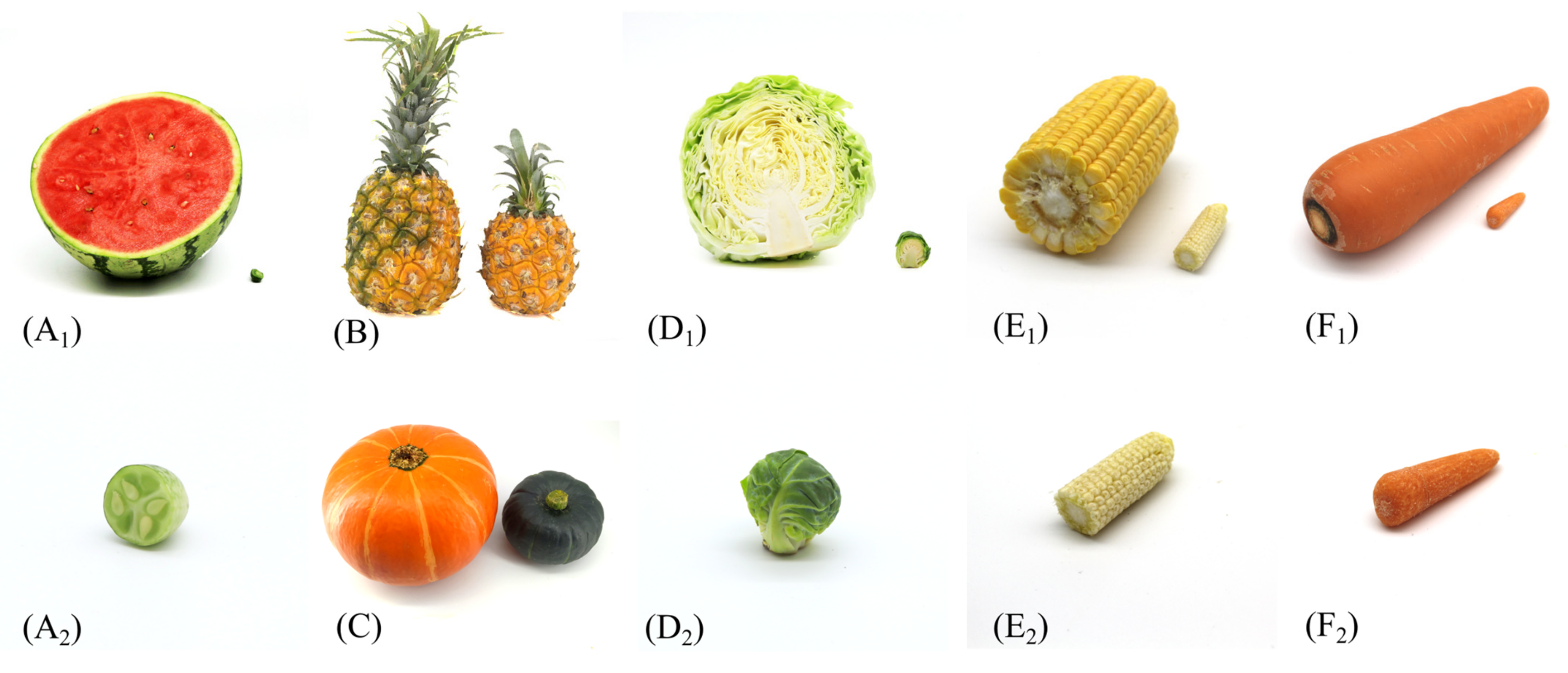 Foods 10 02966 g001 550