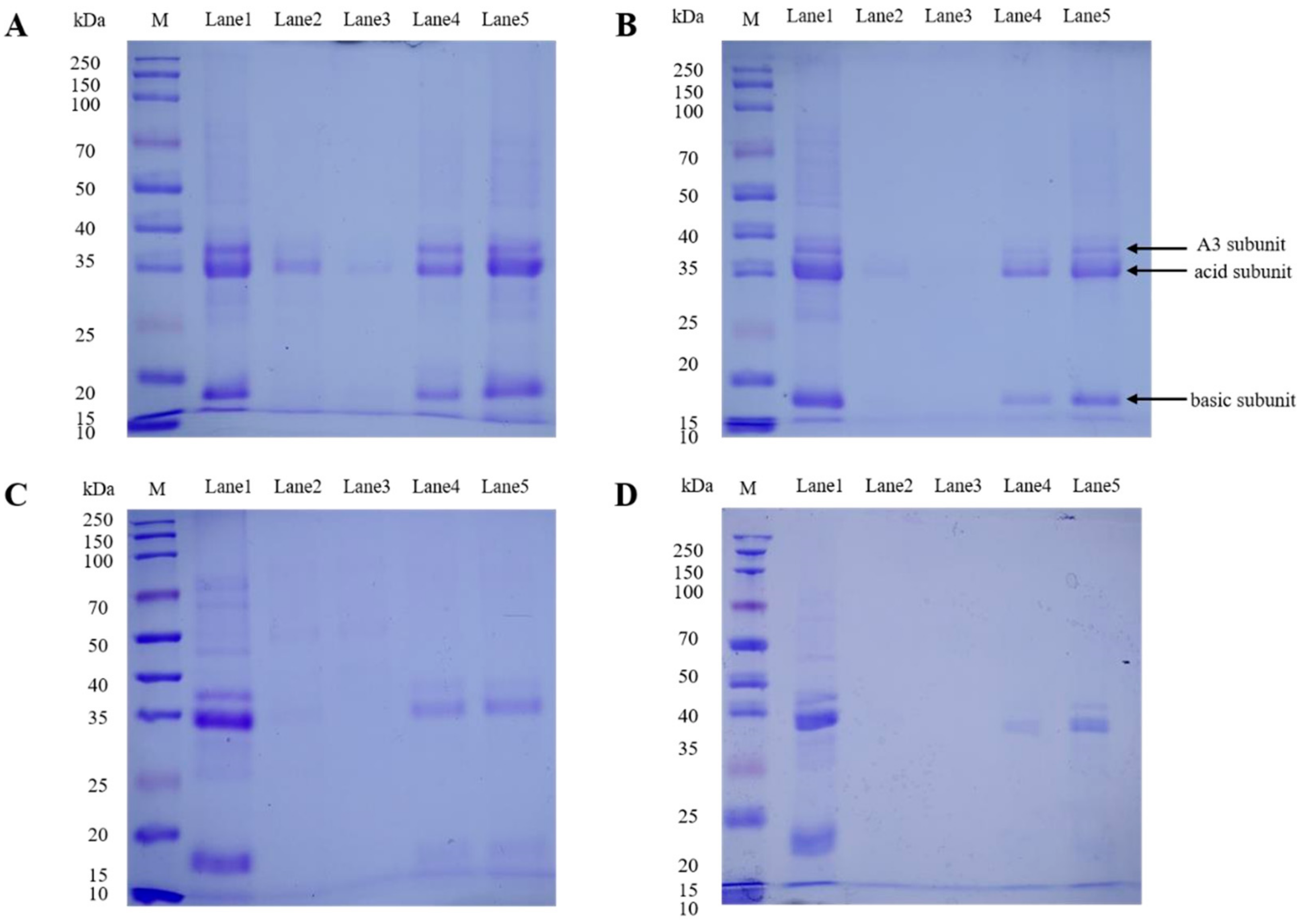 Foods 10 02969 g004 550