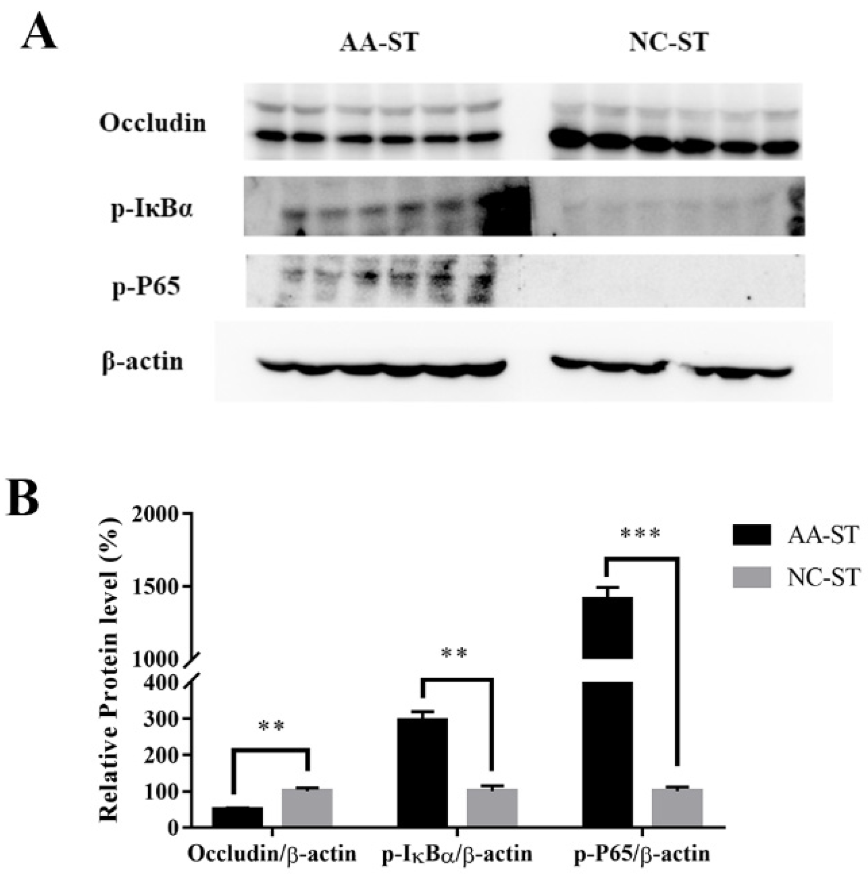 Foods 10 02990 g007 Foods 10 02990 g007