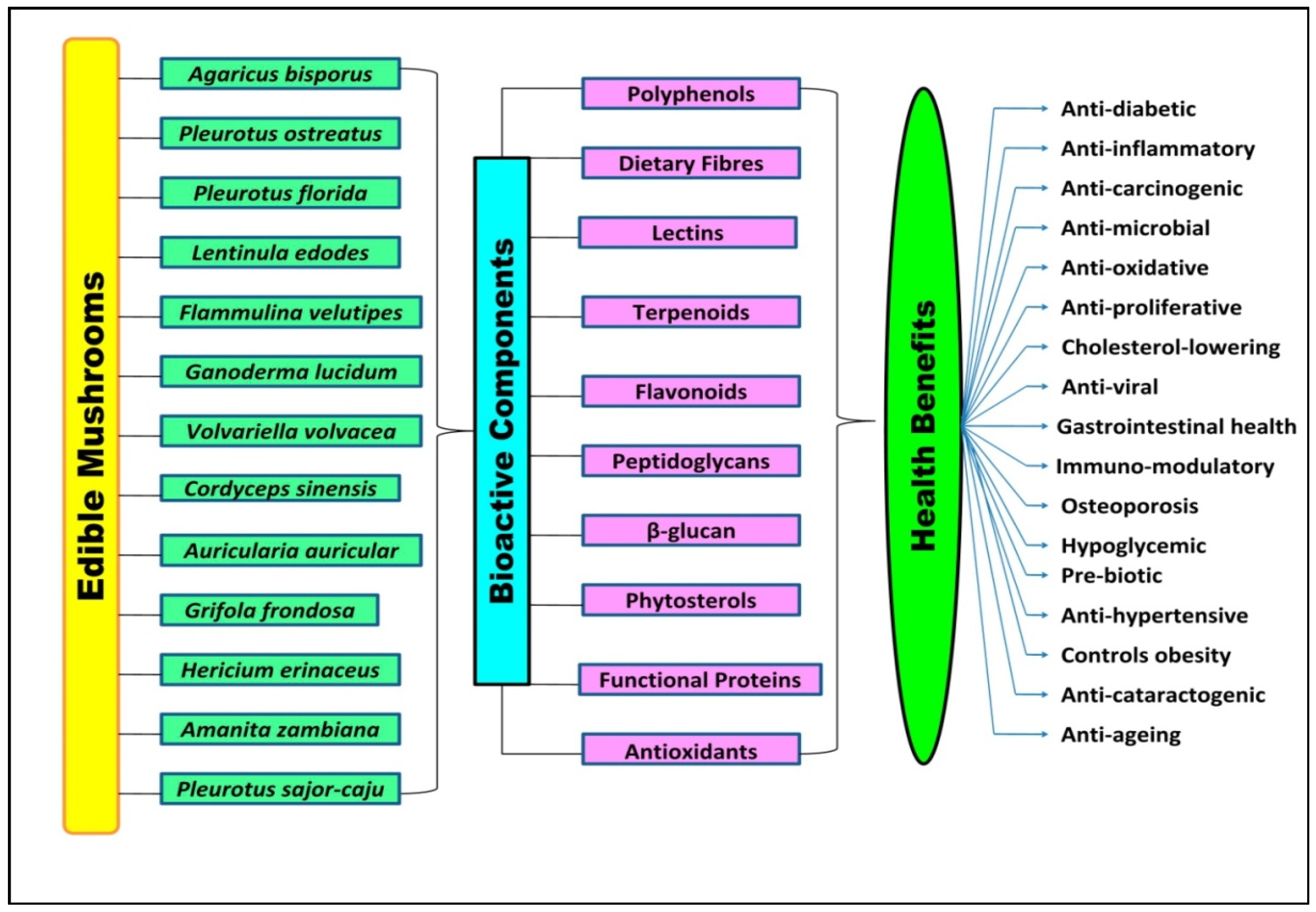 Foods 10 02996 g002 Foods 10 02996 g002