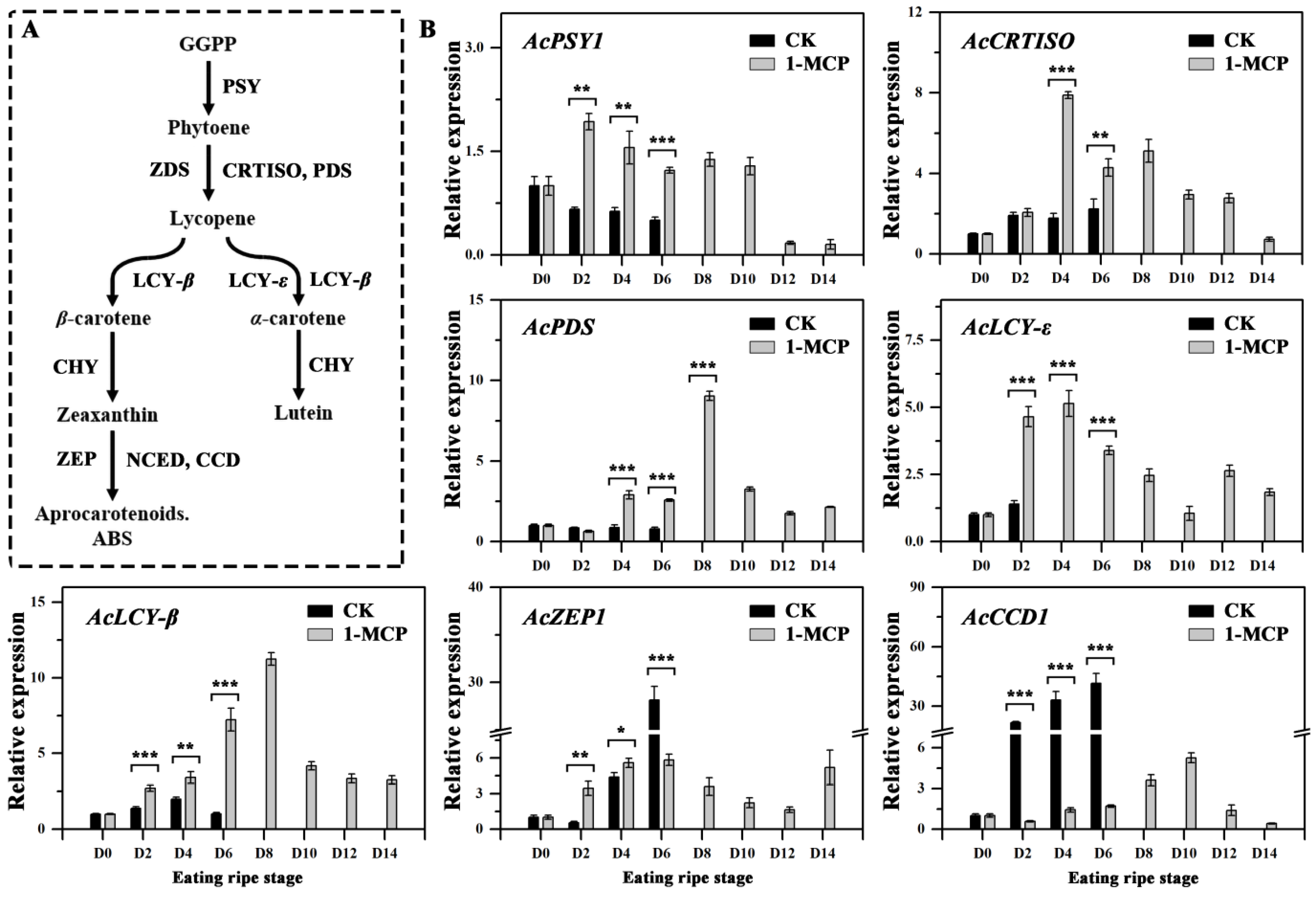 Foods 10 03017 g003 550