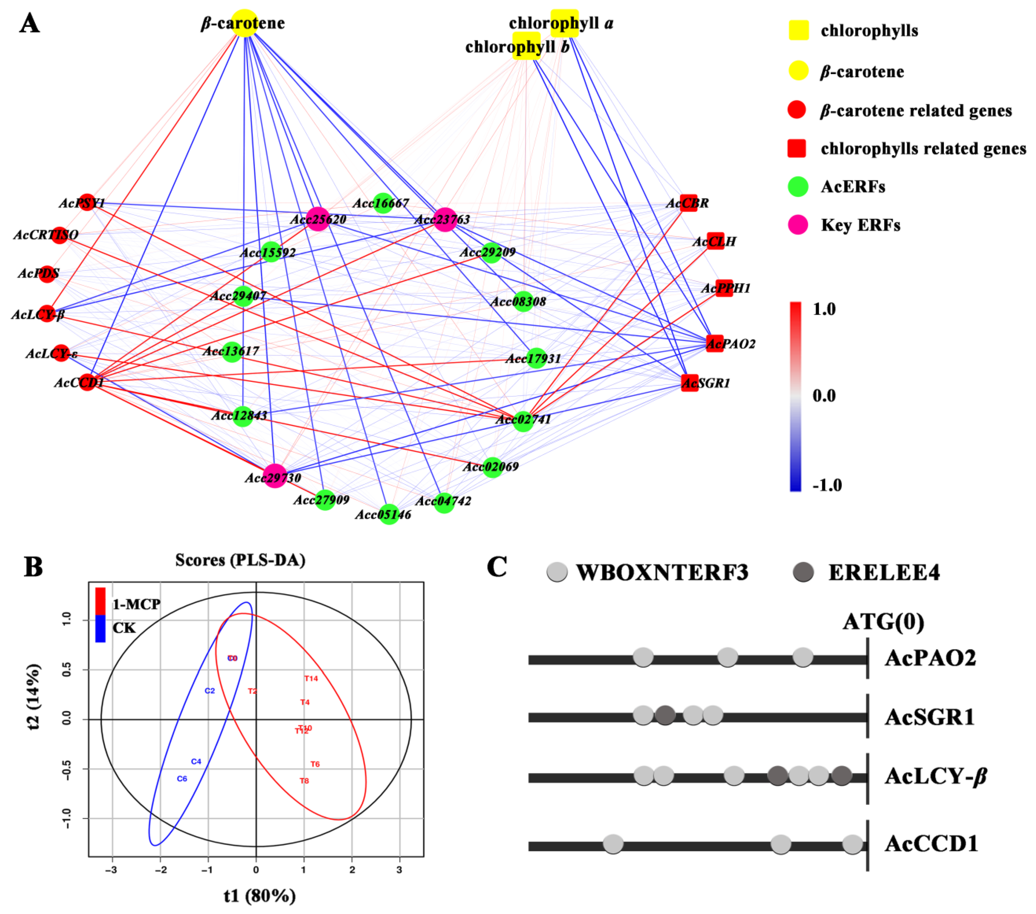 Foods 10 03017 g006 550