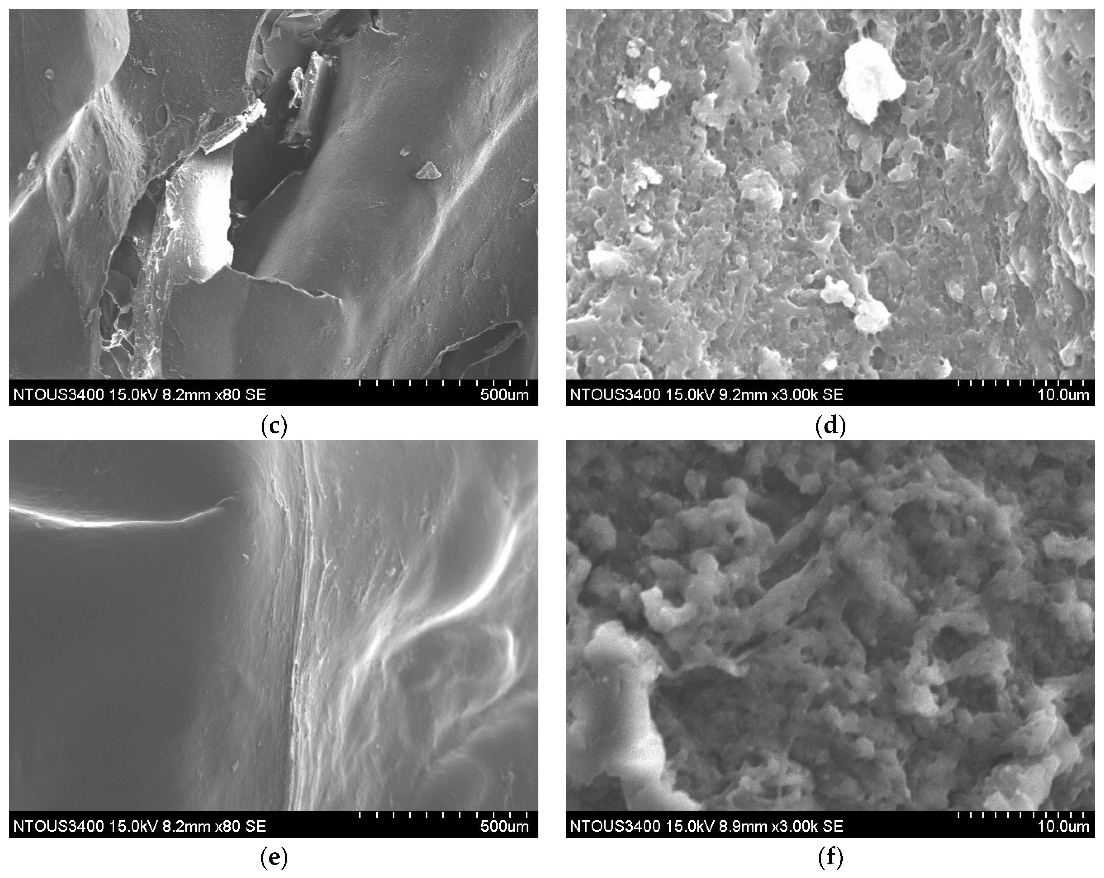 Foods 10 03029 g004b 550