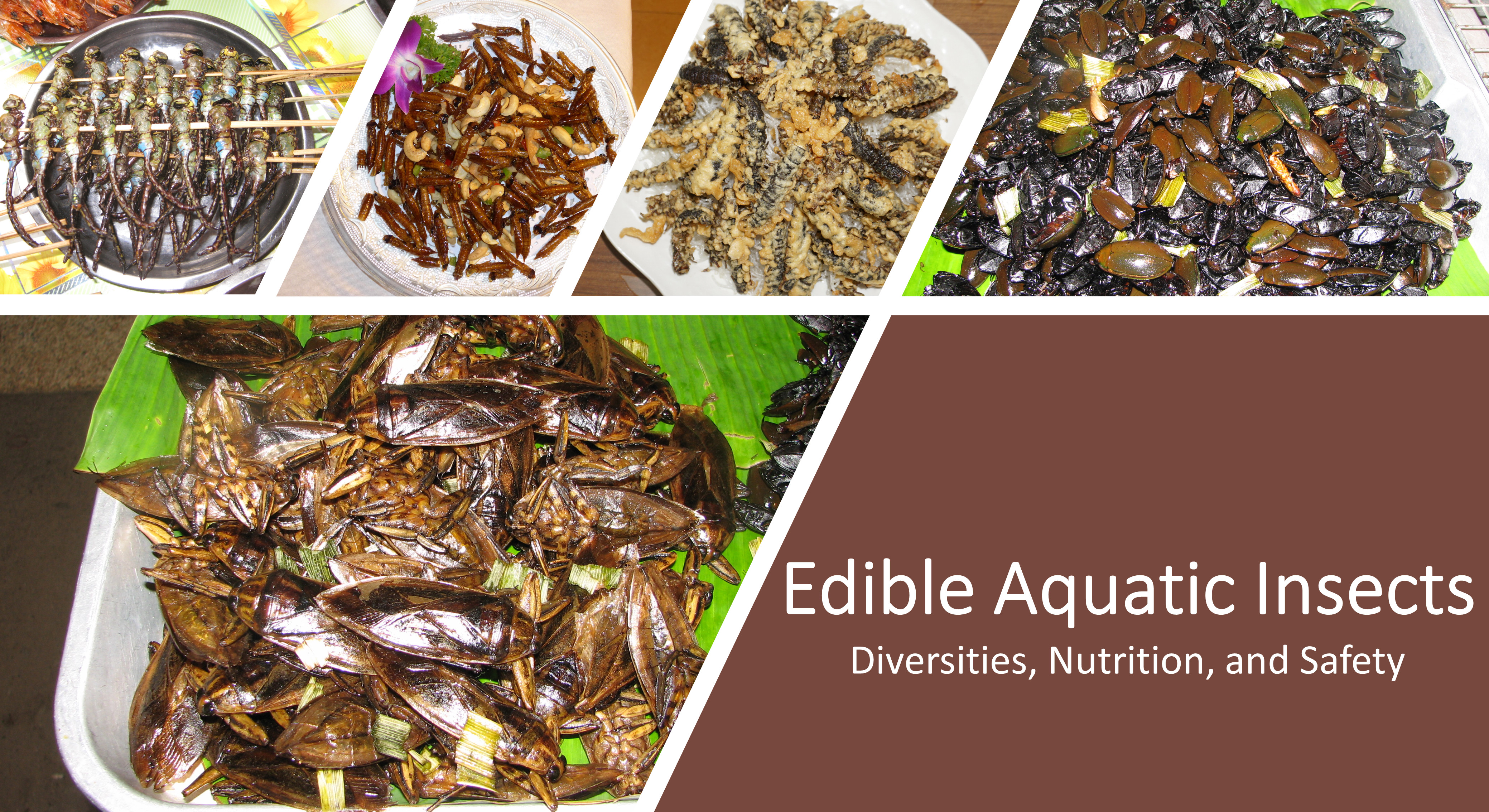 Foods | Free Full-Text | Edible Aquatic Insects: Diversities 