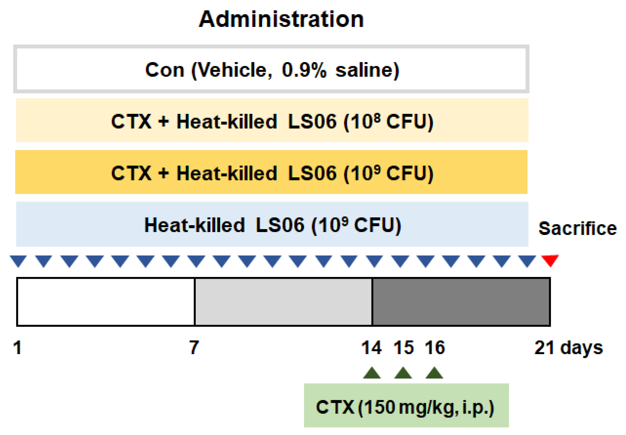 Foods 10 03034 g001 550