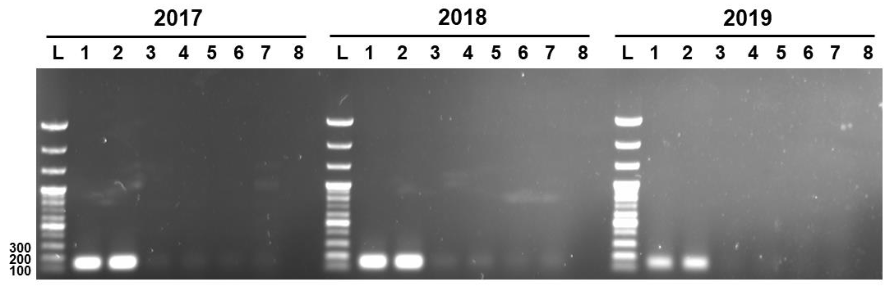 Foods 10 03034 g003 550