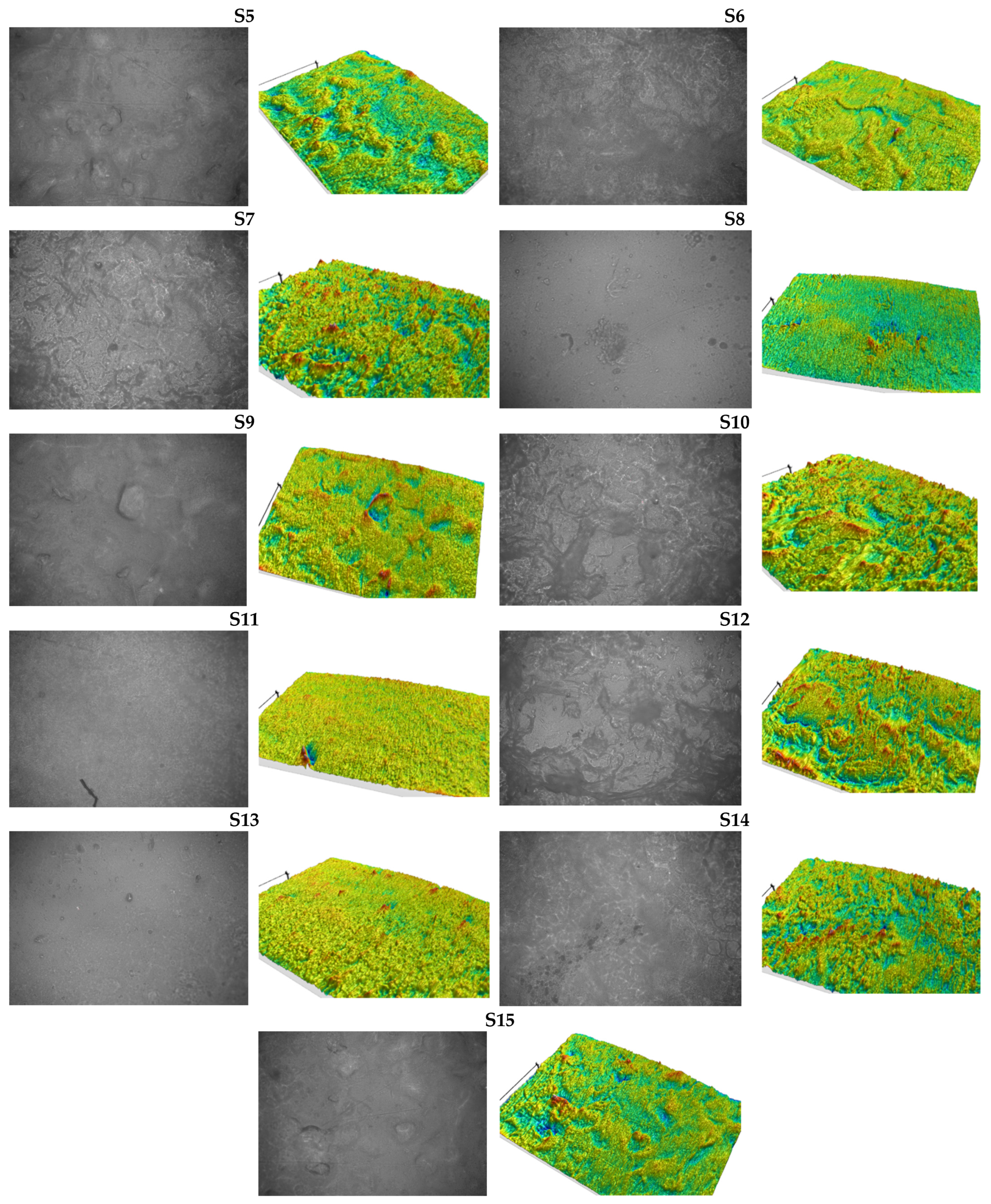 Foods 10 03035 g001b