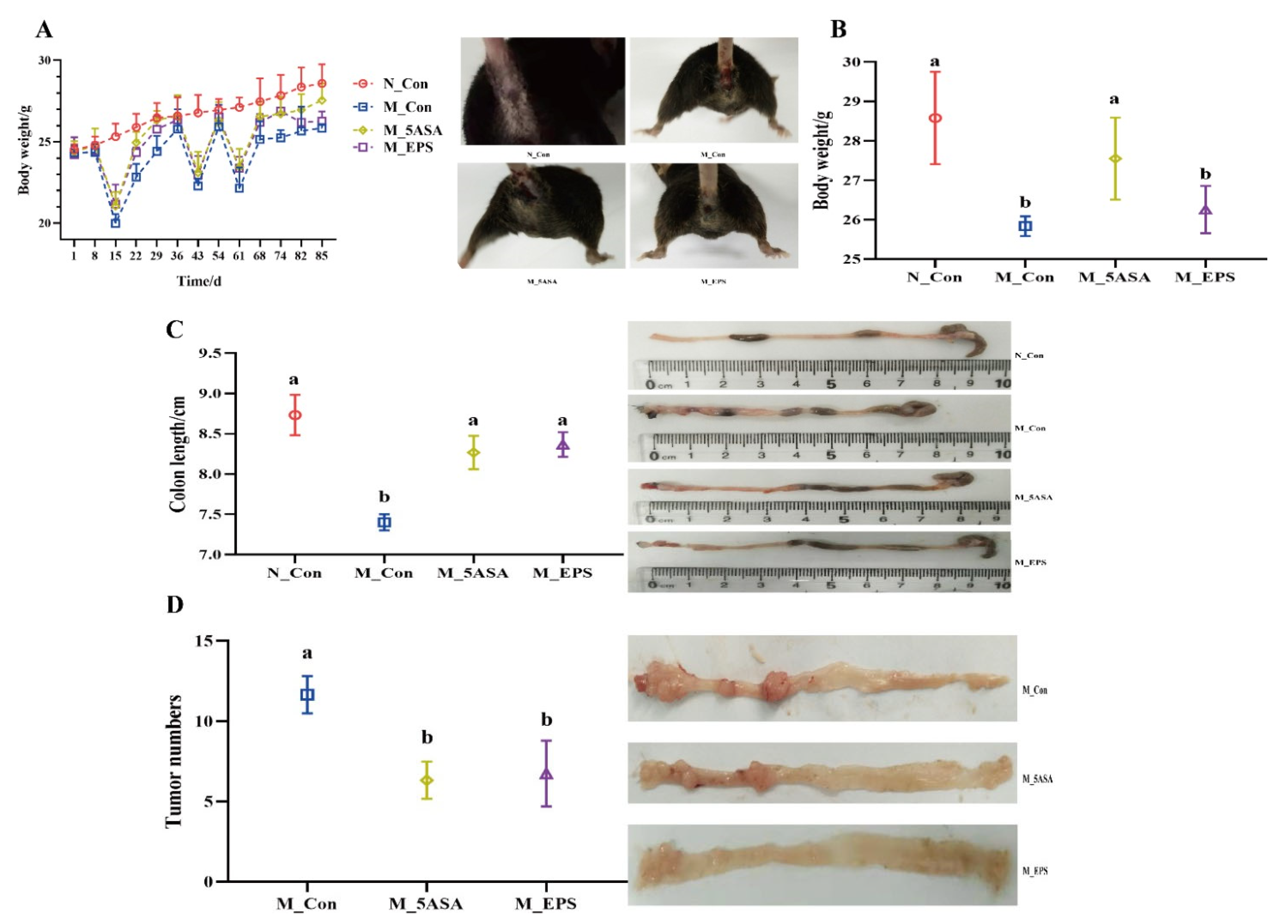 Foods 10 03060 g002 550