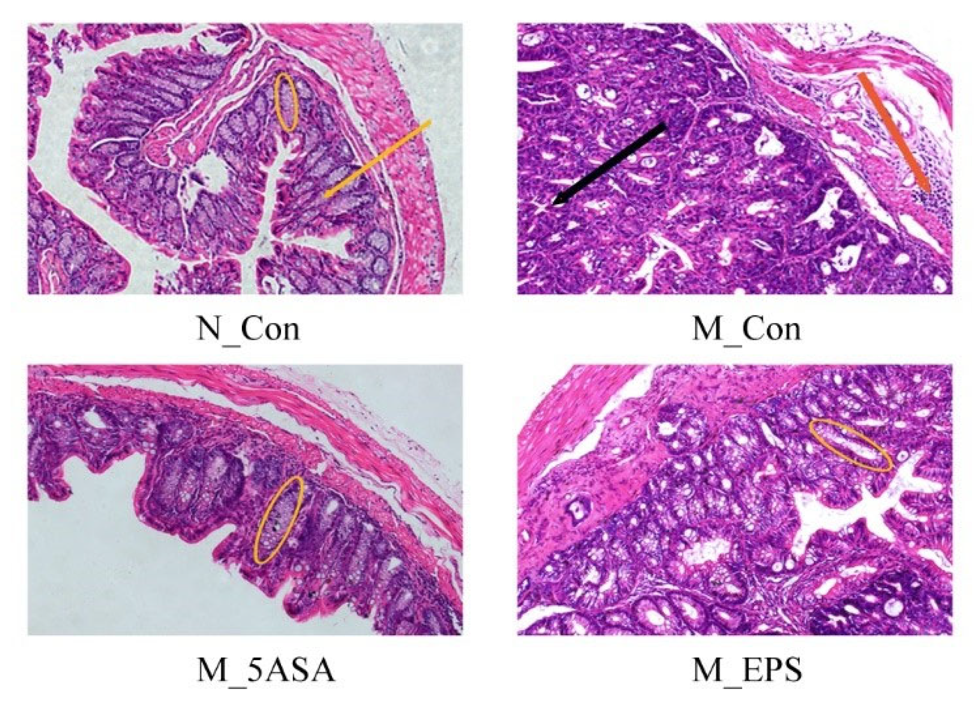 Foods 10 03060 g005 550