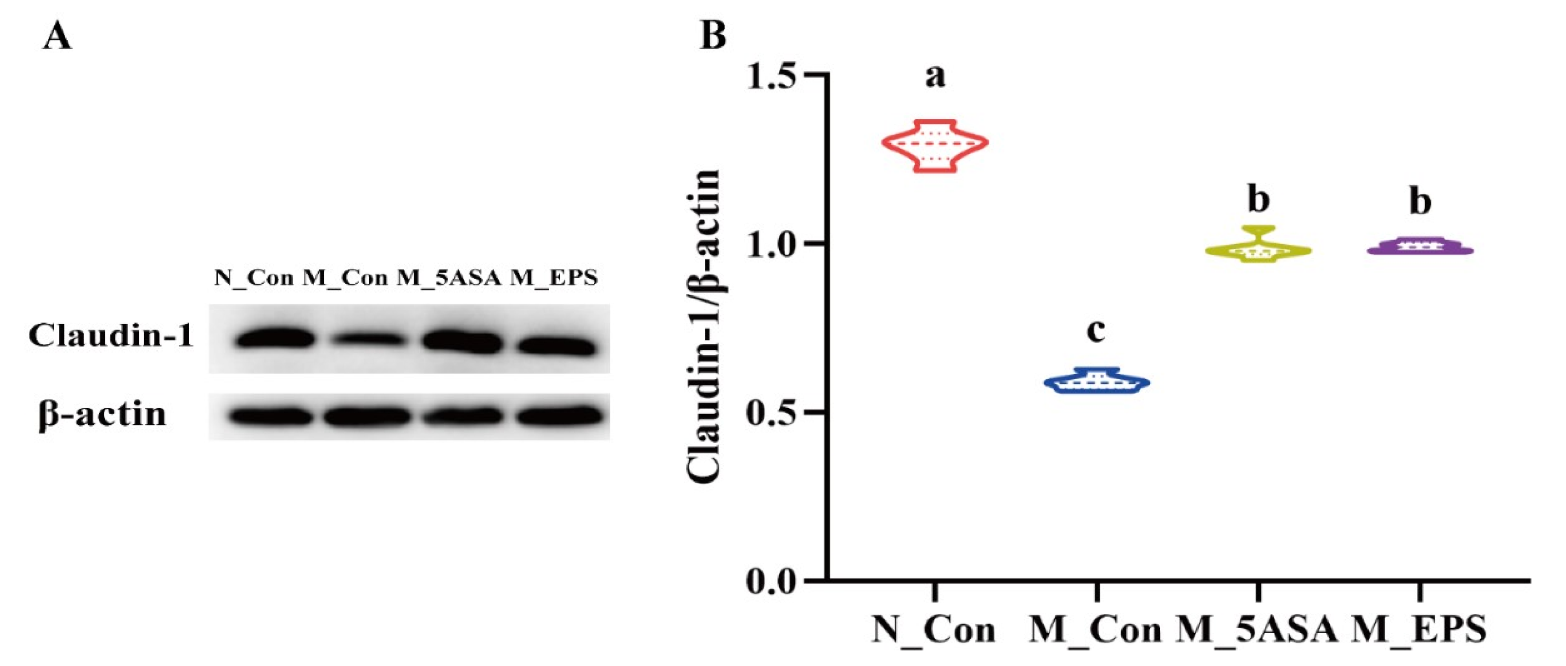 Foods 10 03060 g006 550