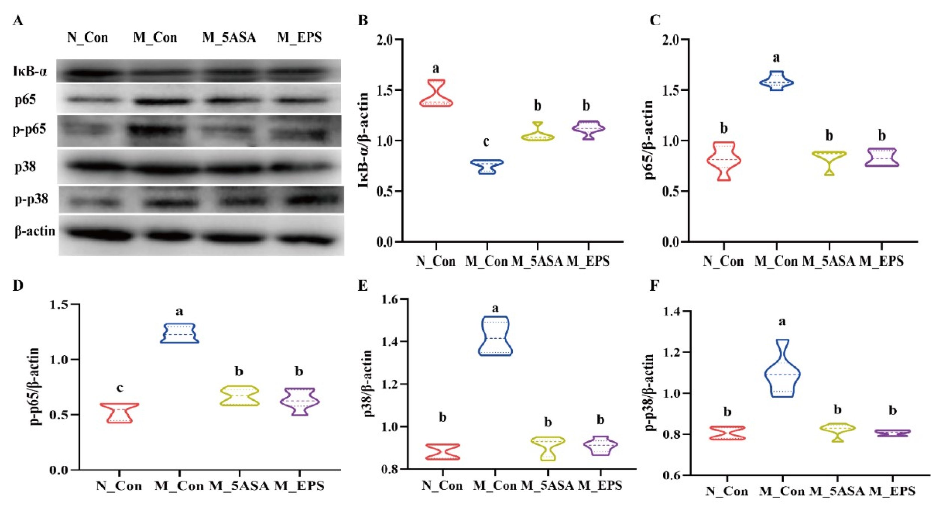 Foods 10 03060 g007 550