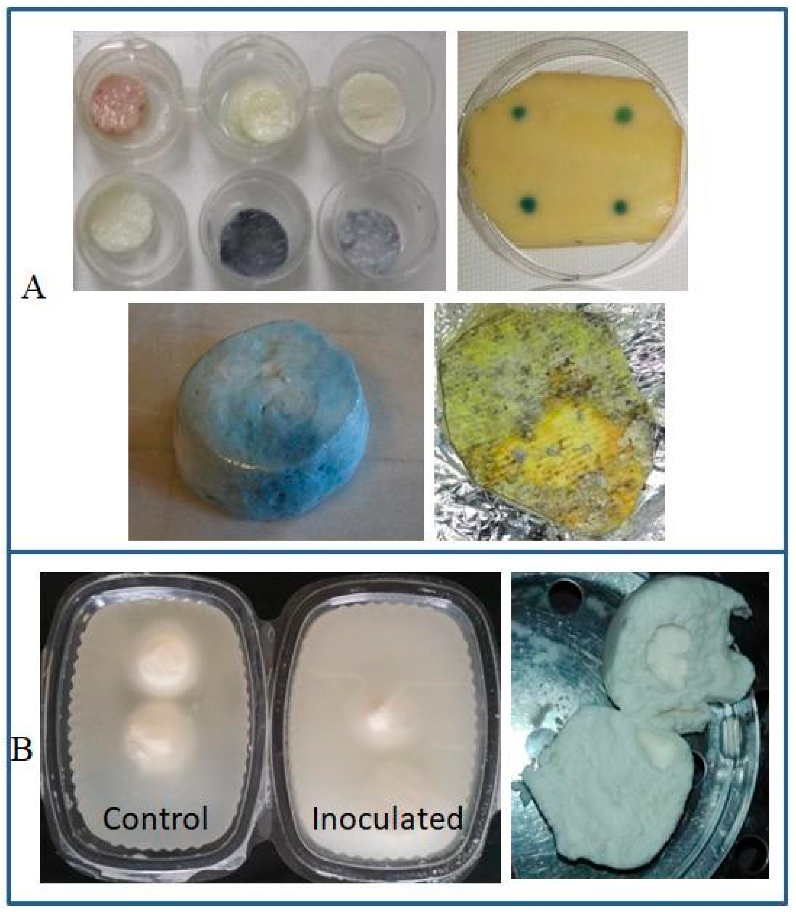 Foods 10 03088 g001 550