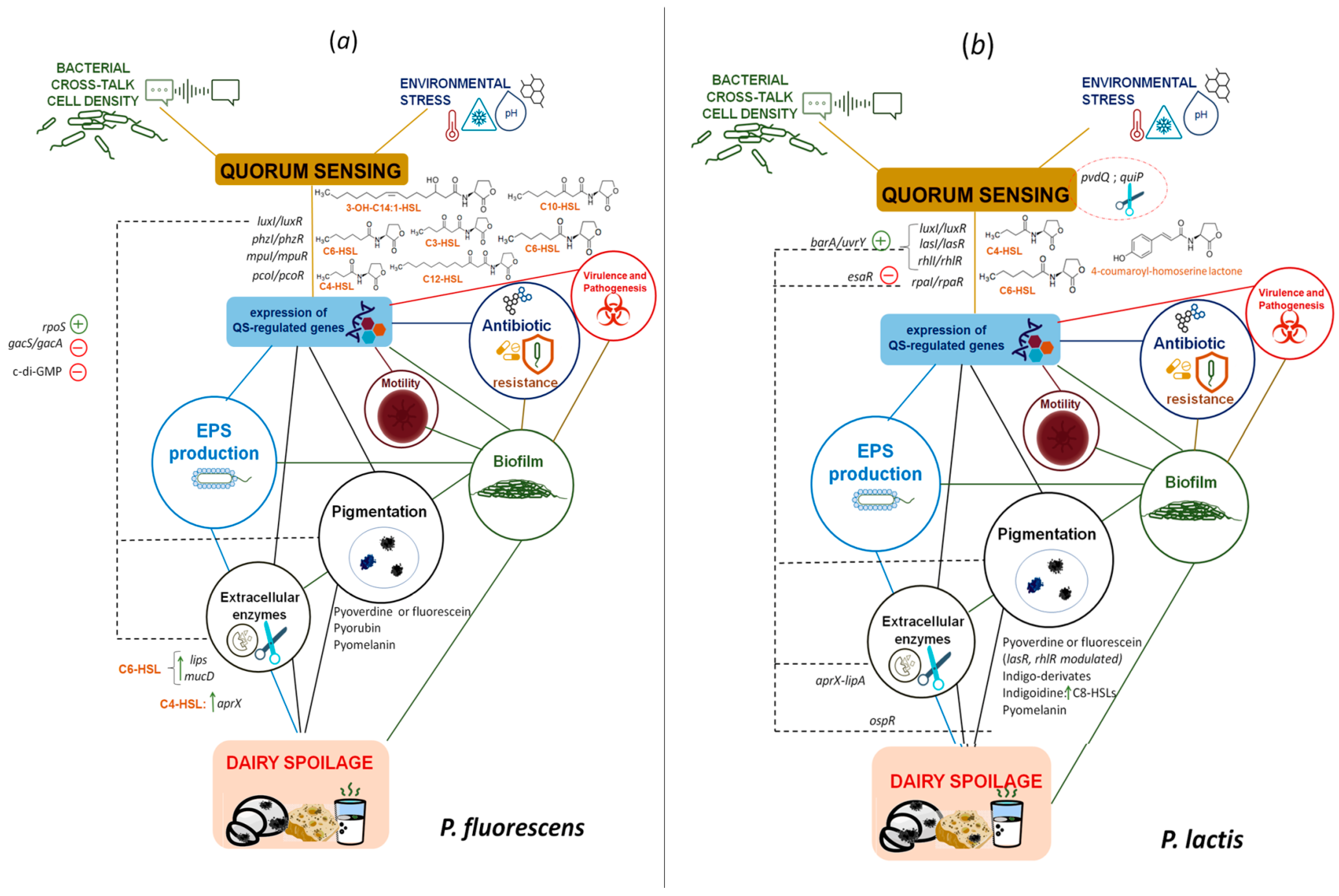Foods 10 03088 g002 550