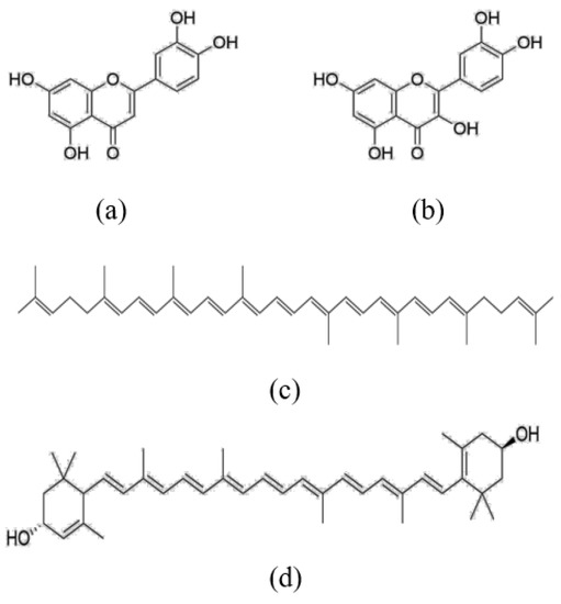 Foods Free FullText Interaction between Flavonoids and Carotenoids on Ameliorating