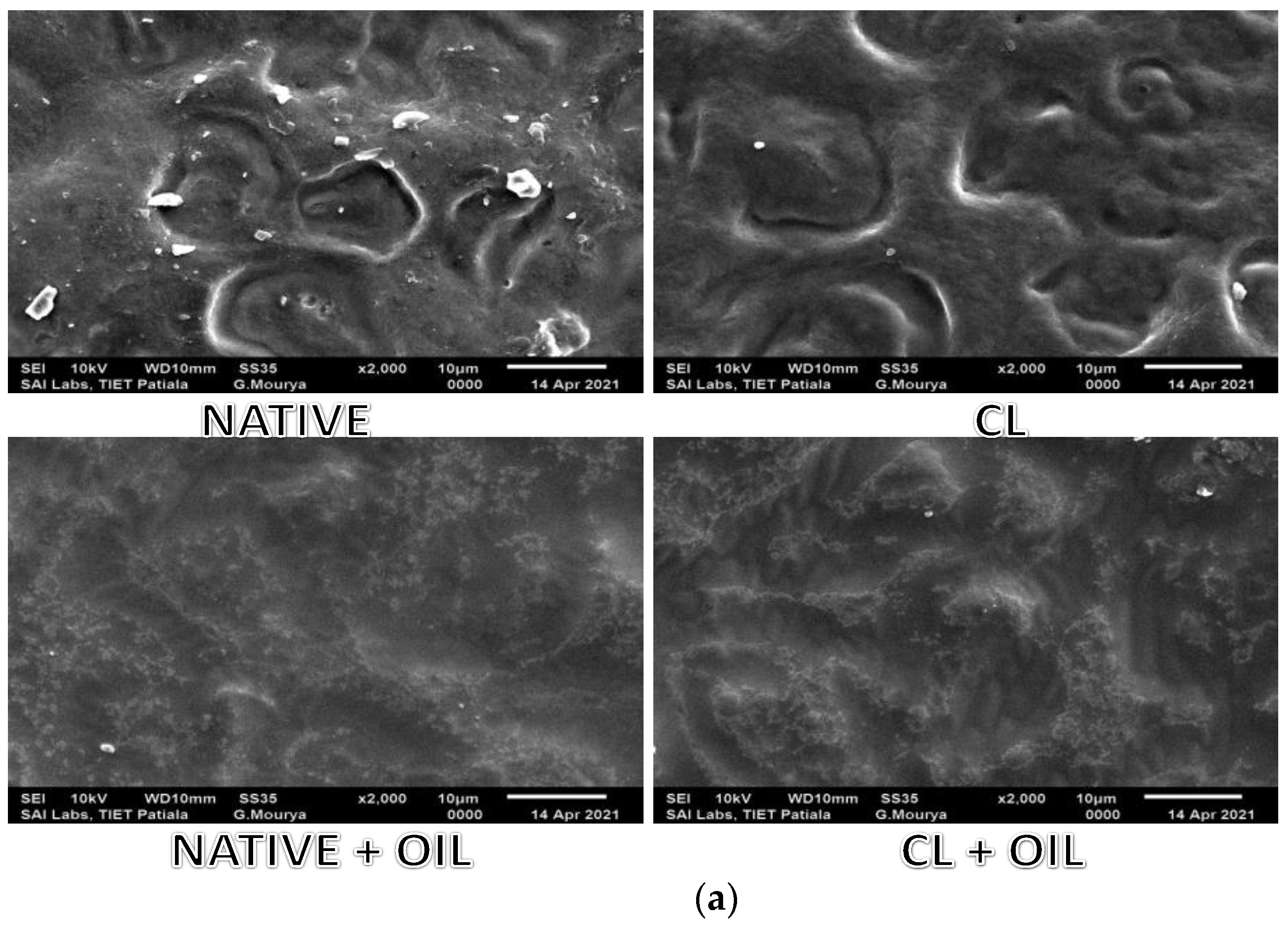 Foods 10 03097 g001a 550