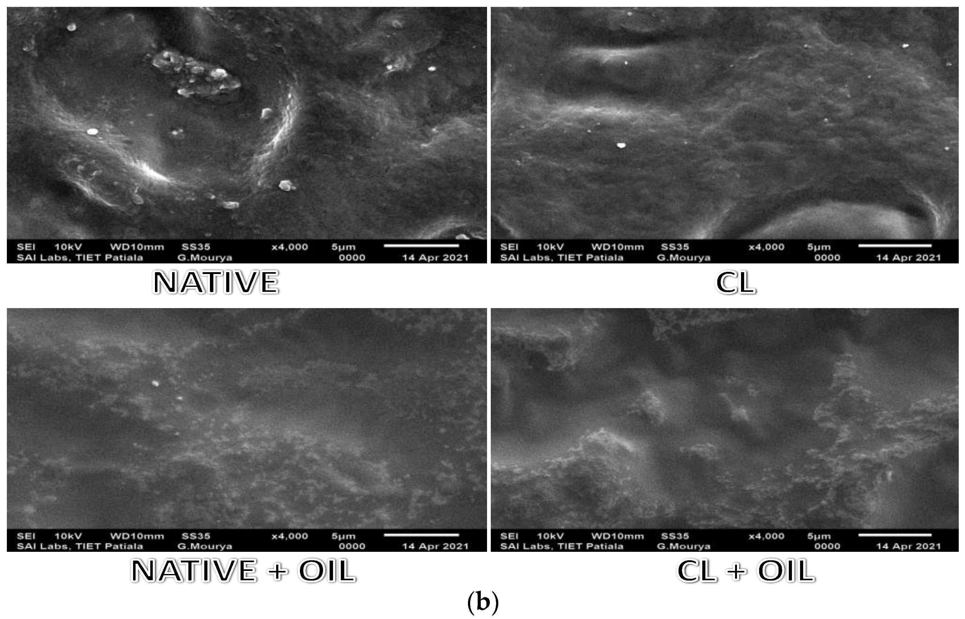 Foods 10 03097 g001b 550