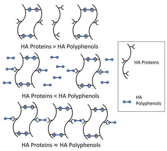 Haze in Beer Its Formation and Alleviating Strategies, from a Protein