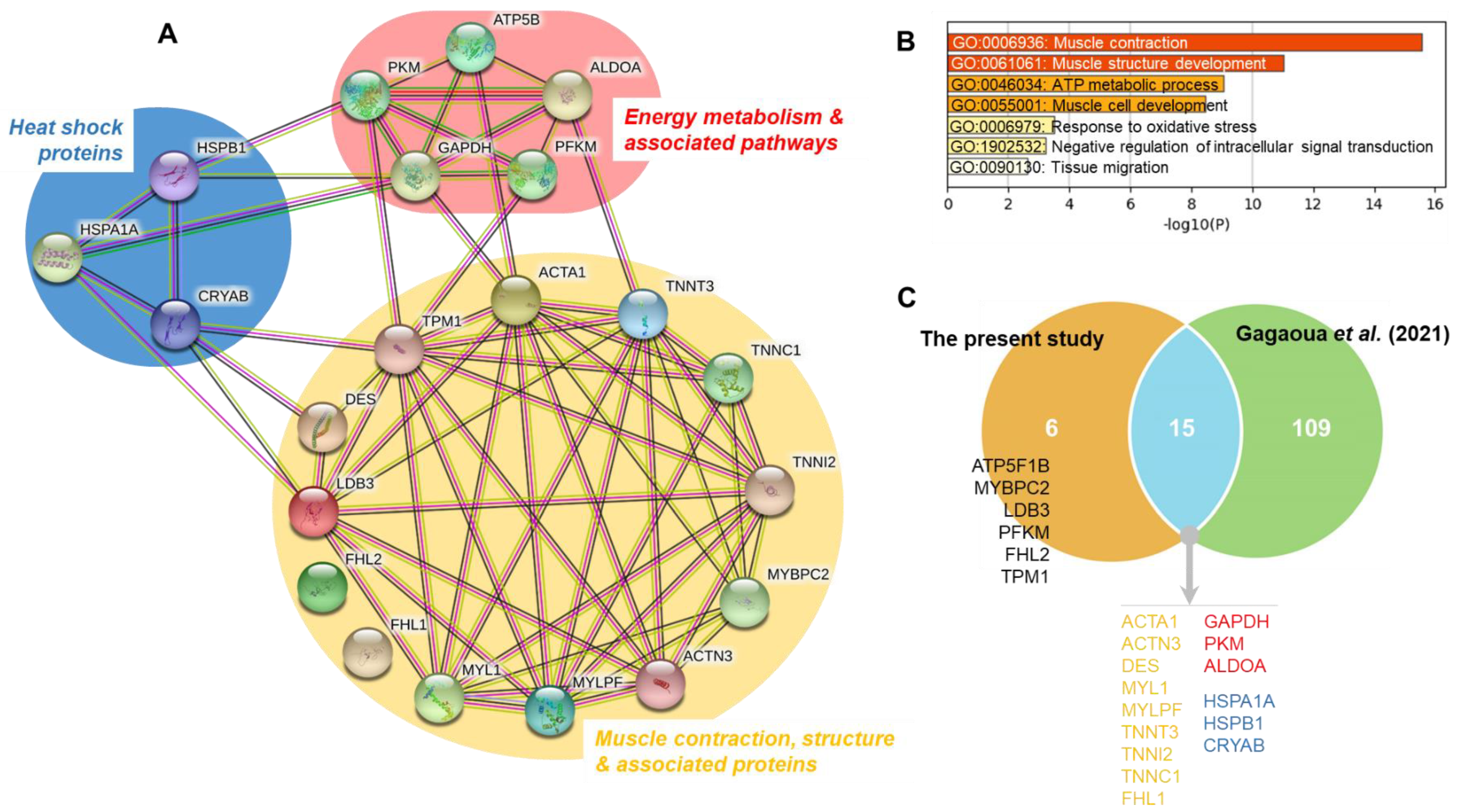 Foods 10 03115 g003 Foods 10 03115 g003
