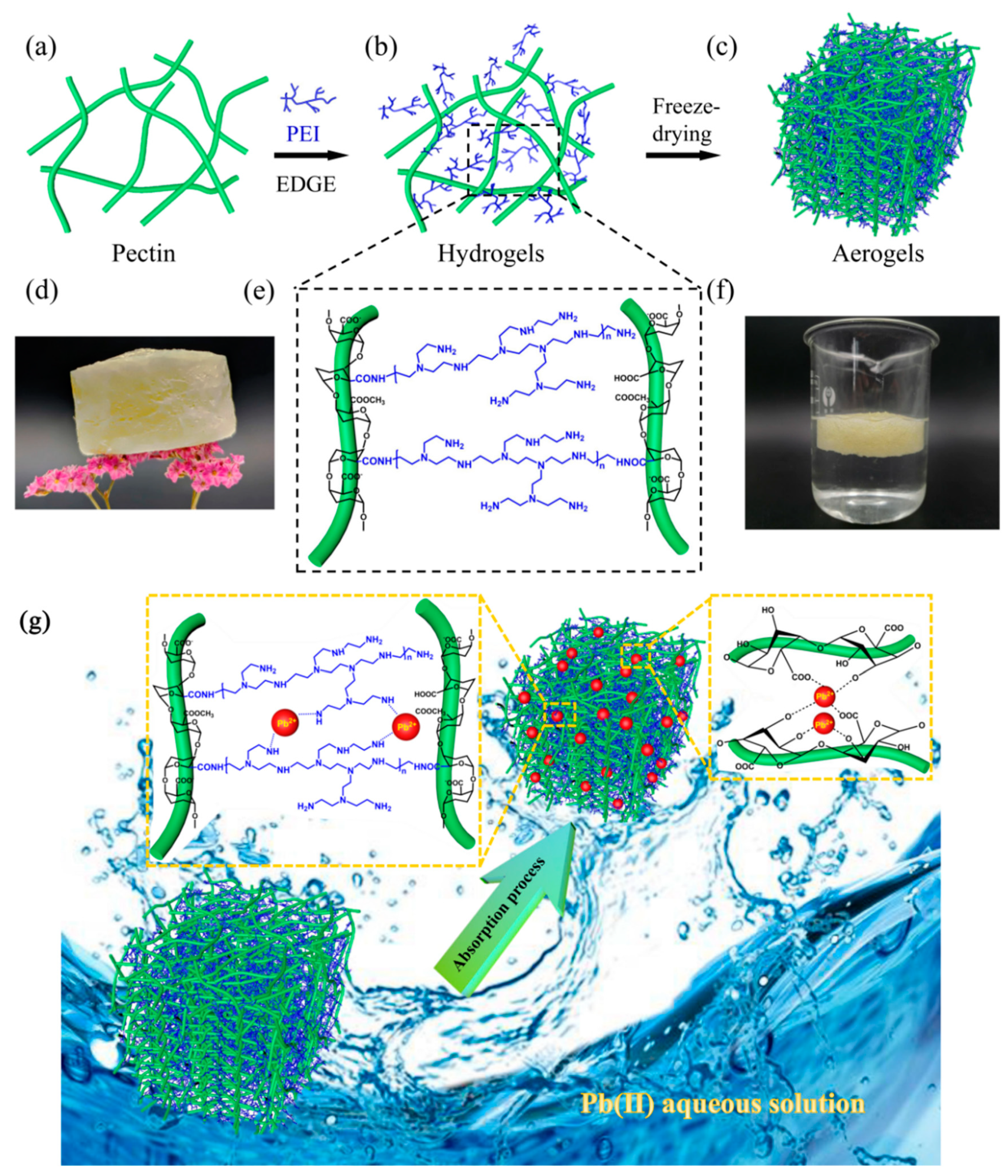 Foods 10 03127 g001 550