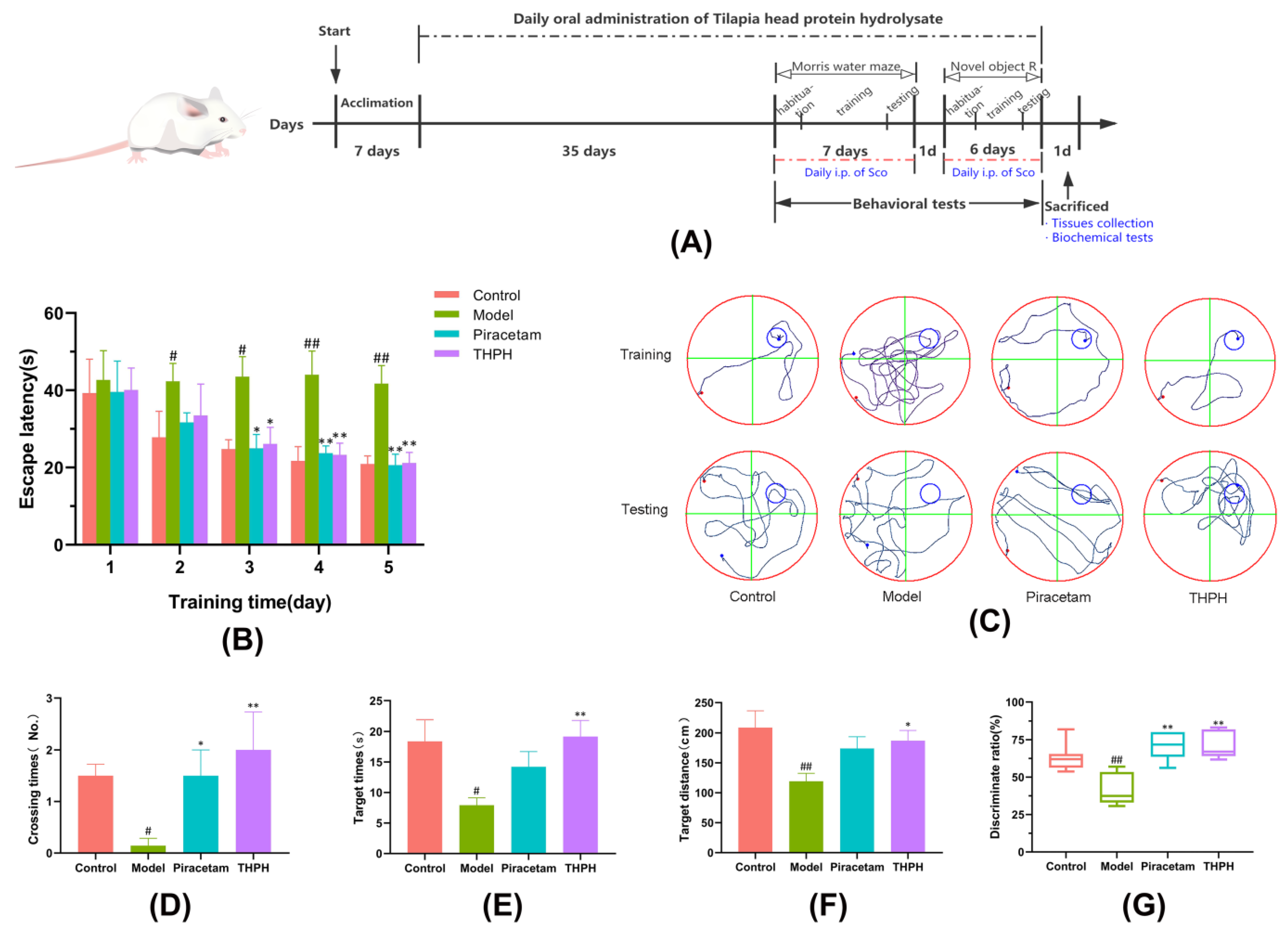 Foods 10 03129 g001 550
