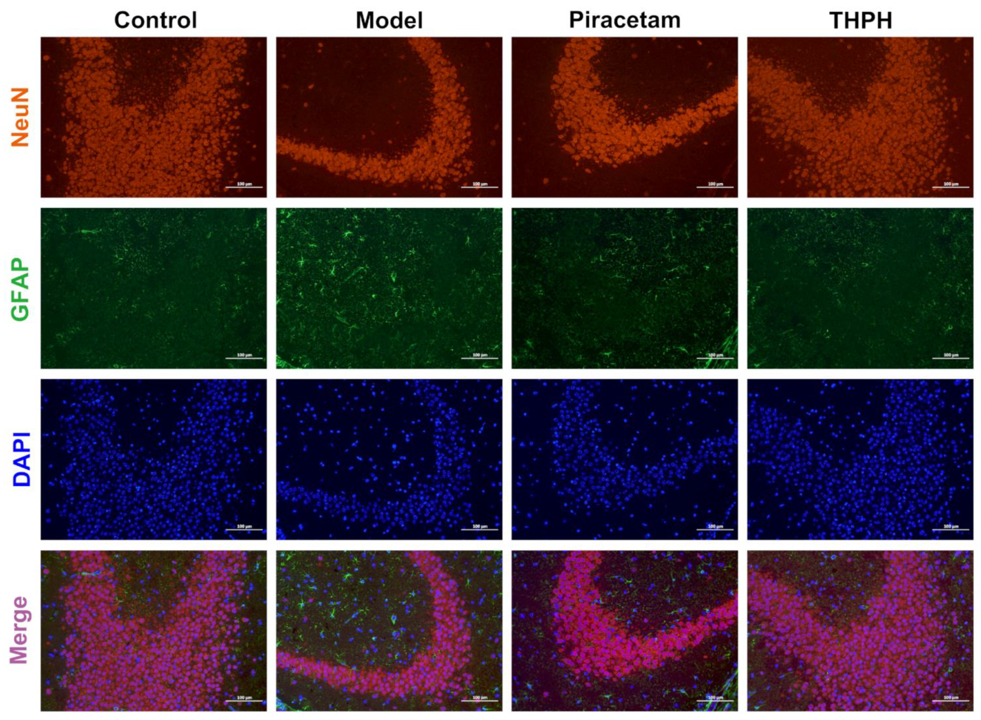 Foods 10 03129 g004 550