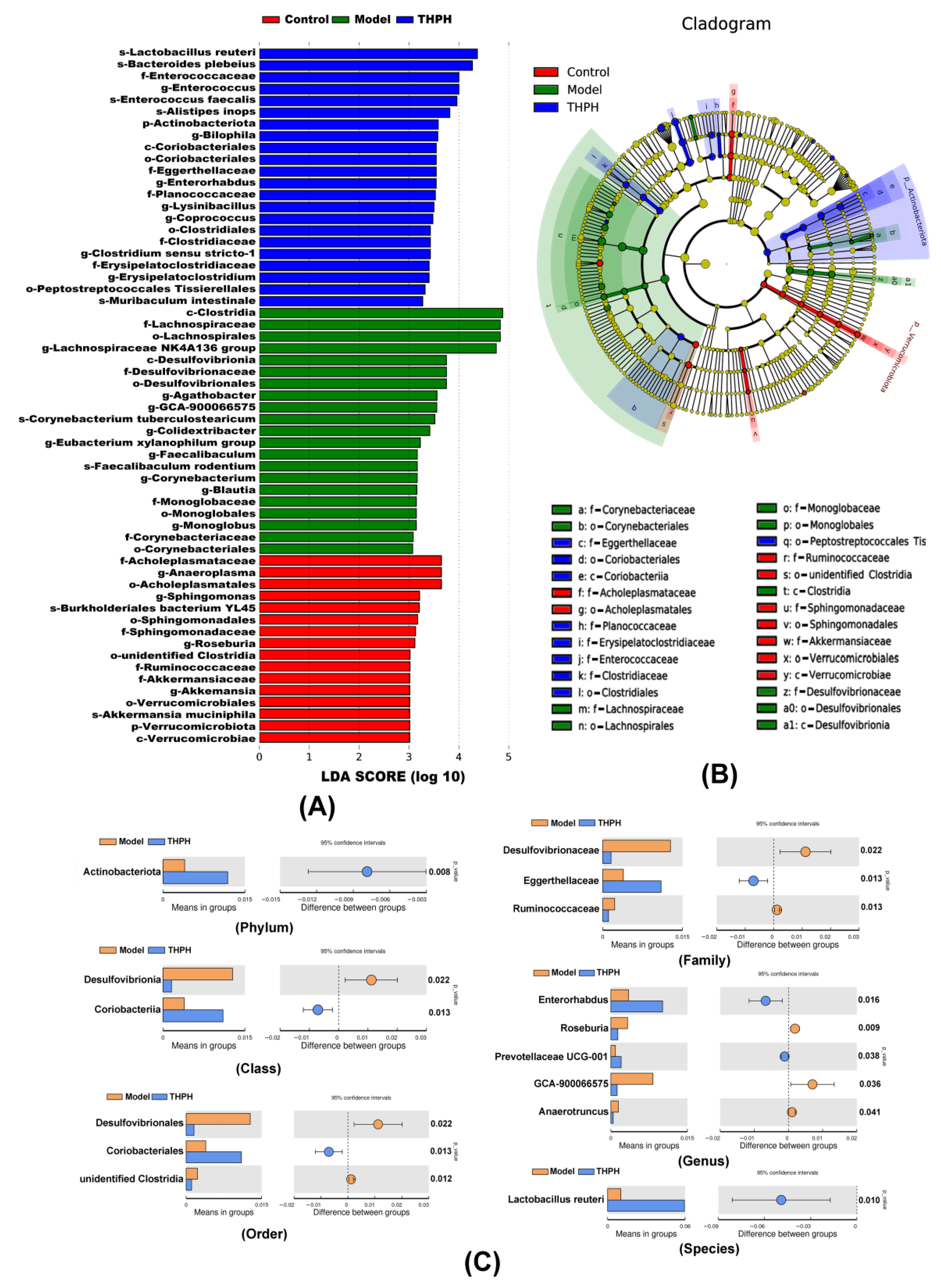 Foods 10 03129 g007 550