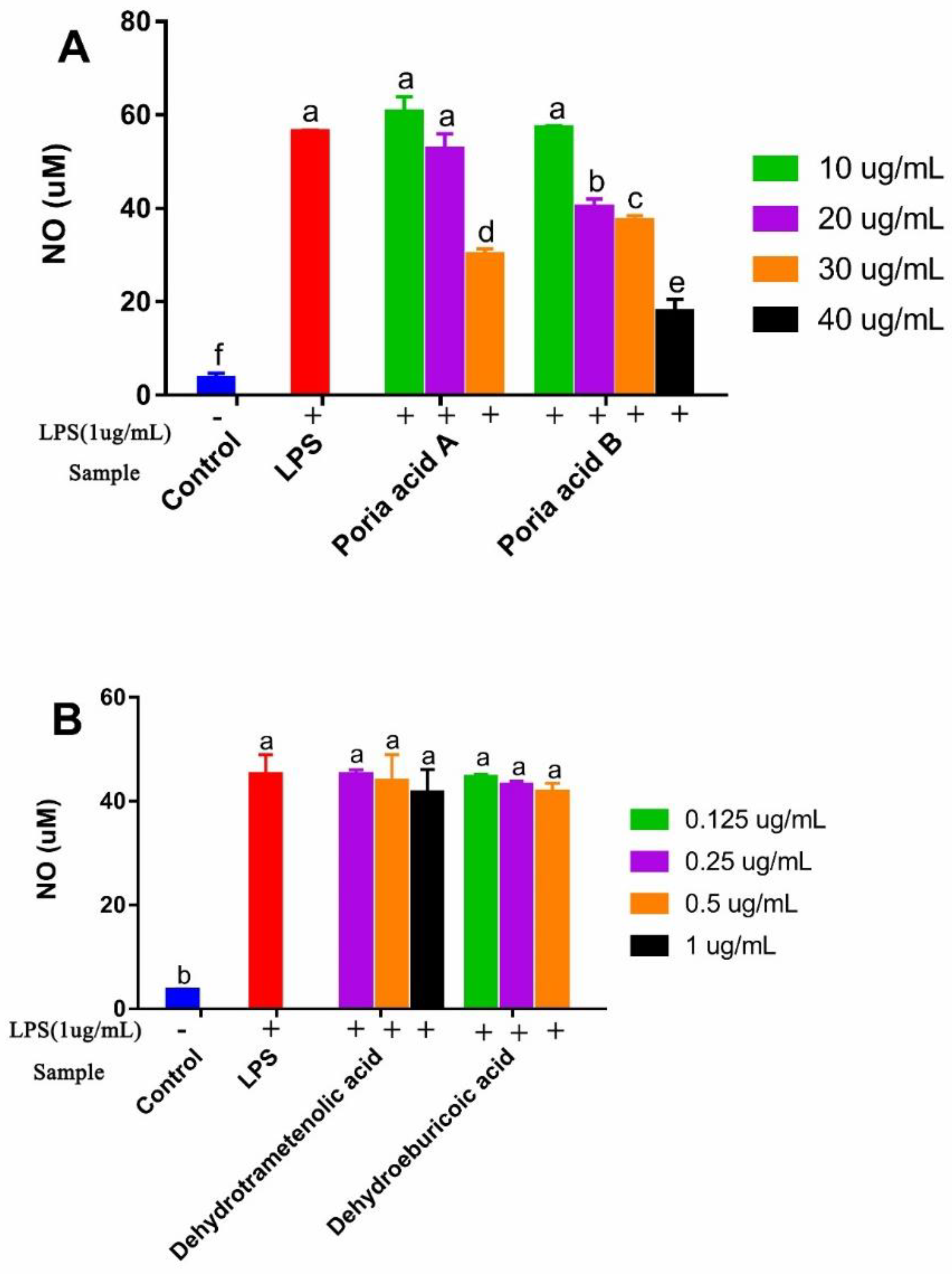 Foods 10 03155 g005 550