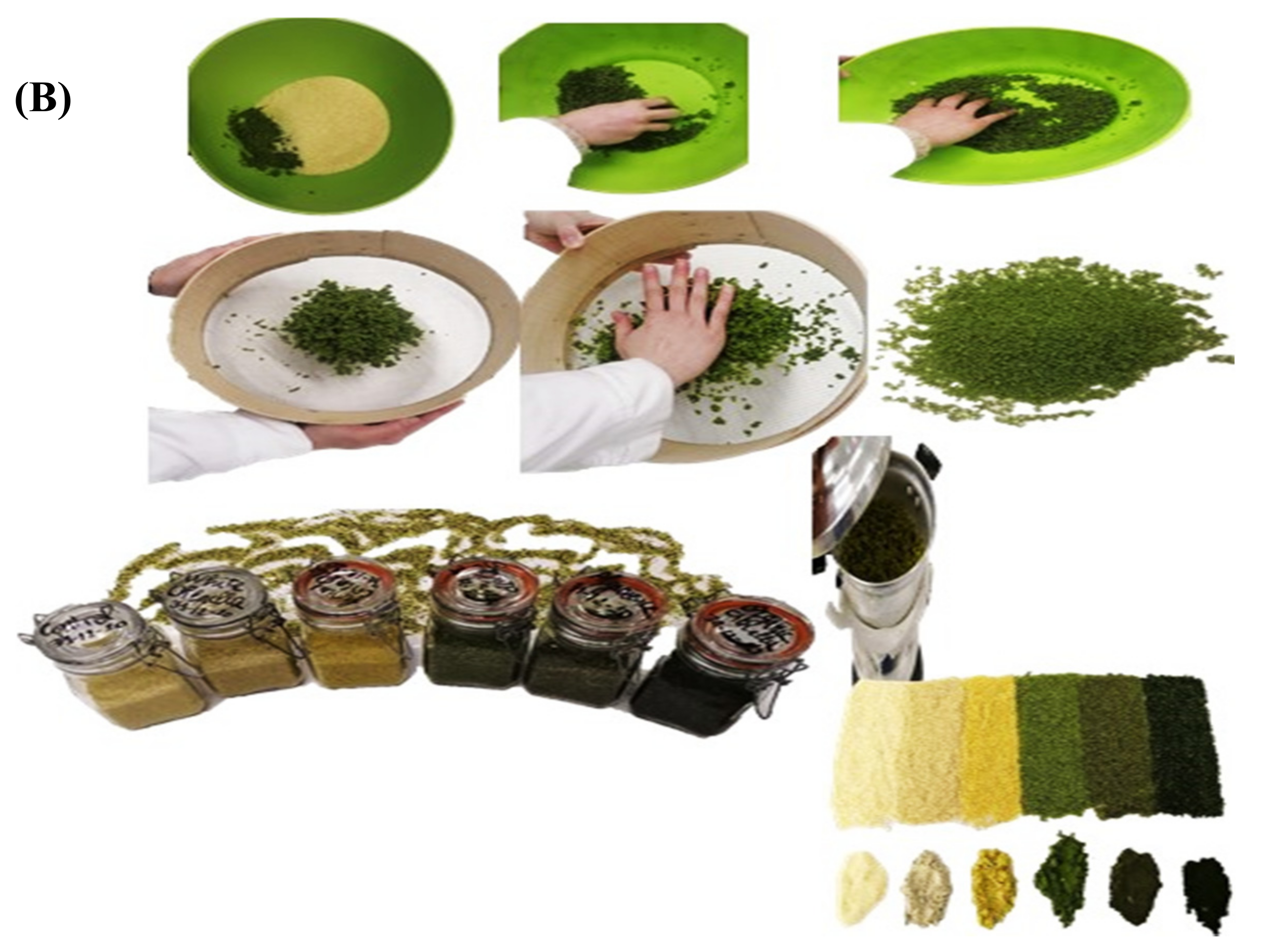 Foods 10 03159 g001b 550