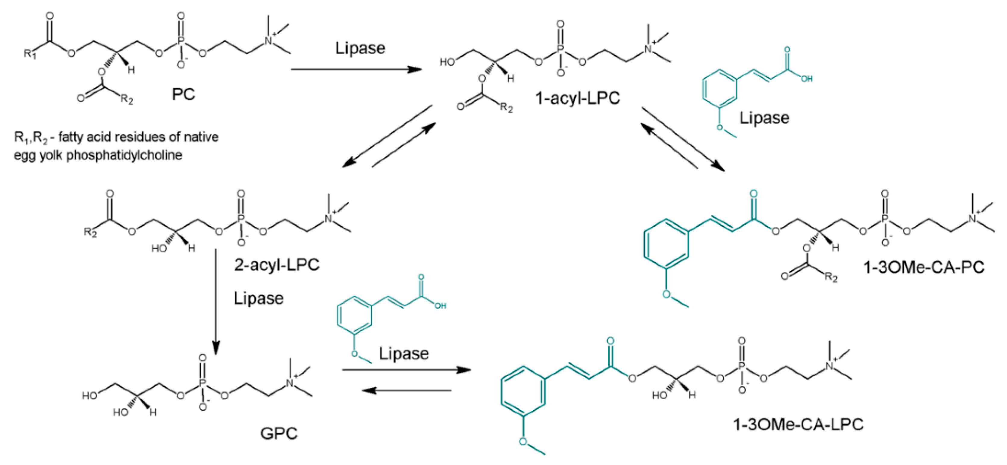 Foods 11 00007 sch001