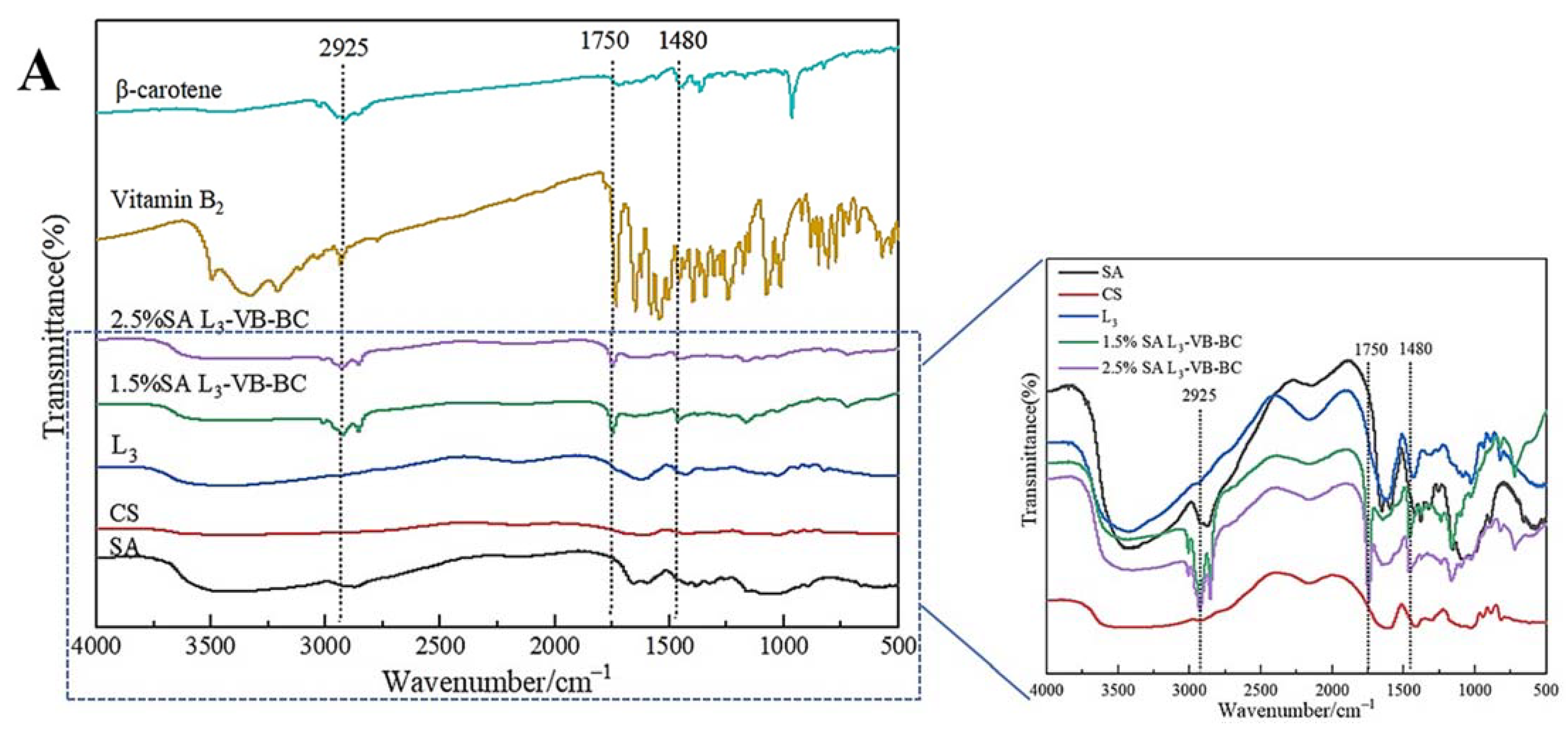 Foods 11 00020 g001a