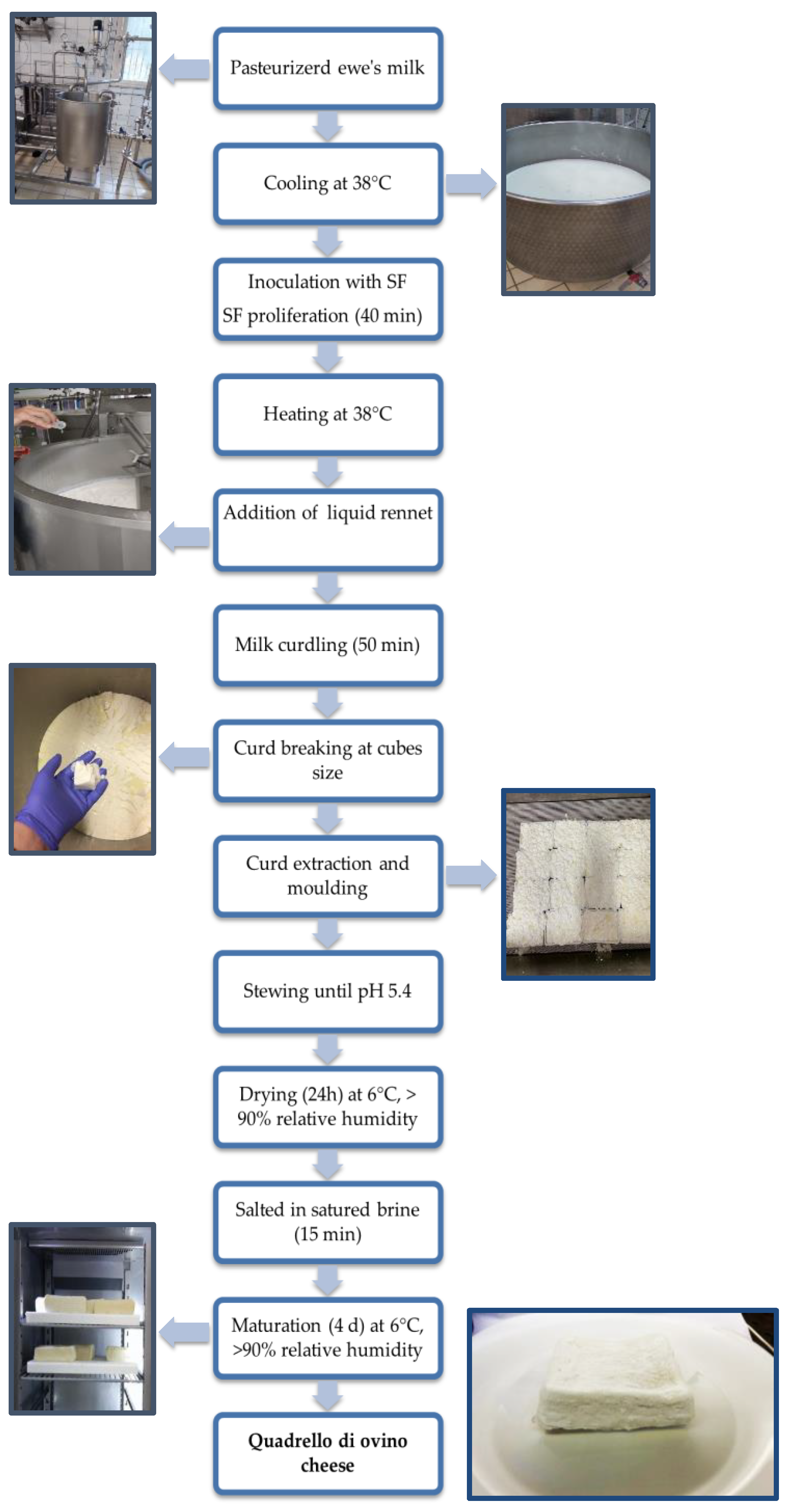 Foods 11 00025 g001 Foods 11 00025 g001