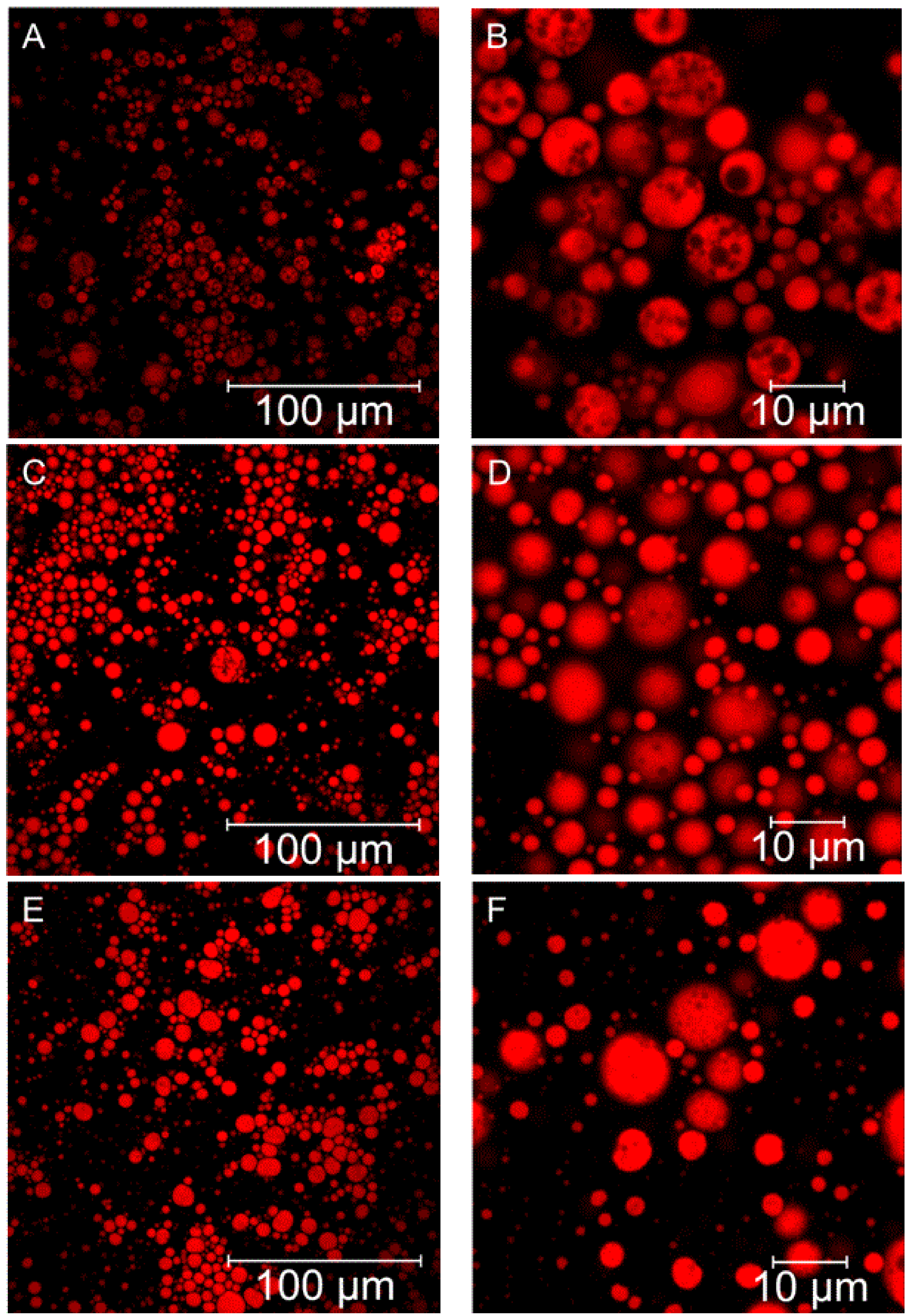 Foods 11 00034 g001 550