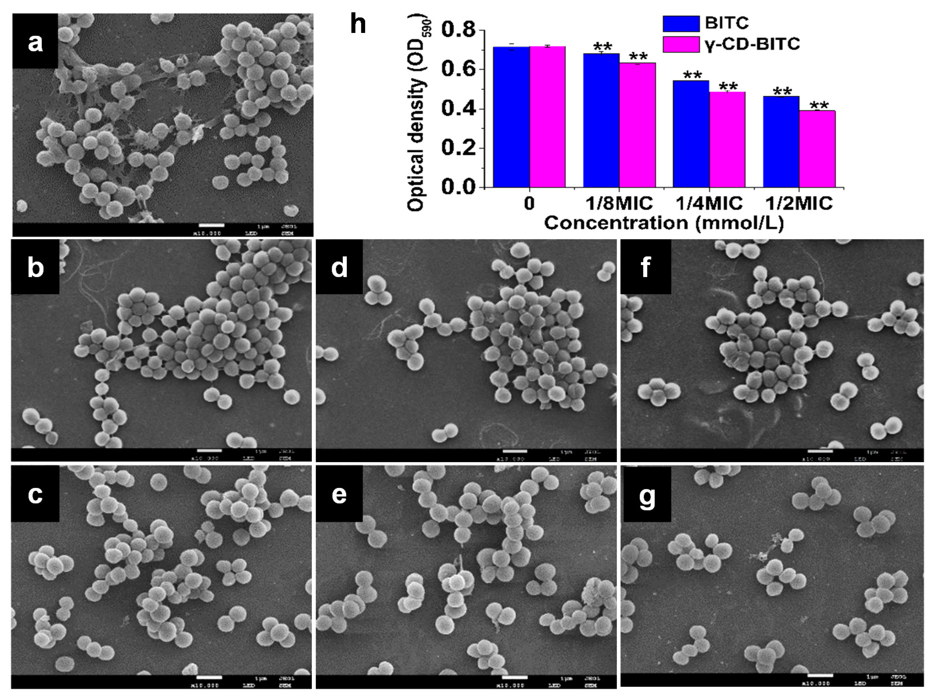 Foods 11 00060 g004 Foods 11 00060 g004