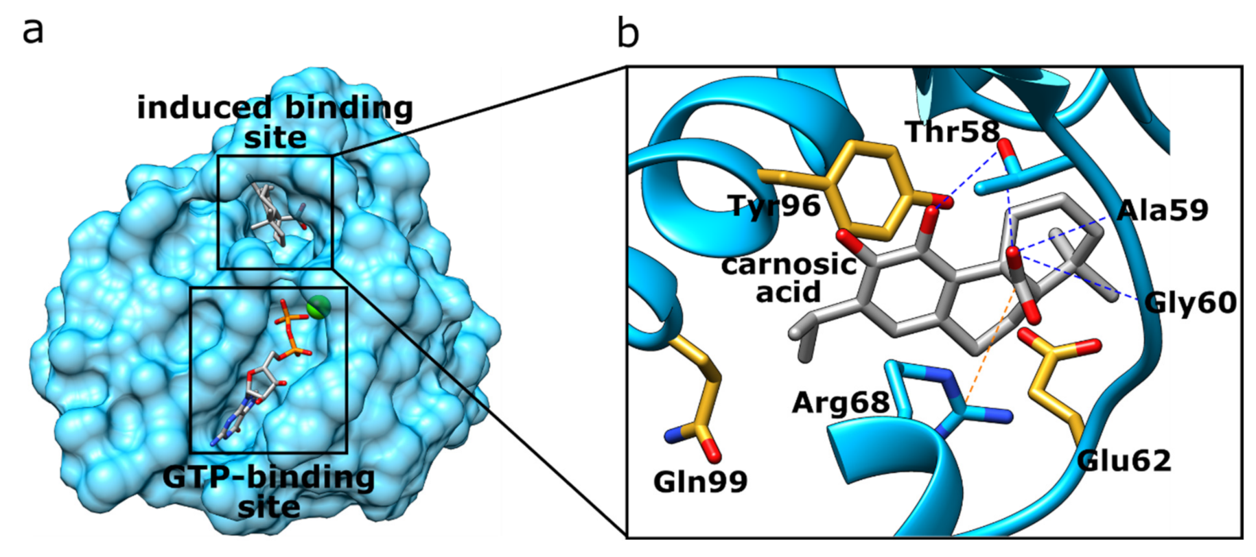 Foods 11 00067 g003 550