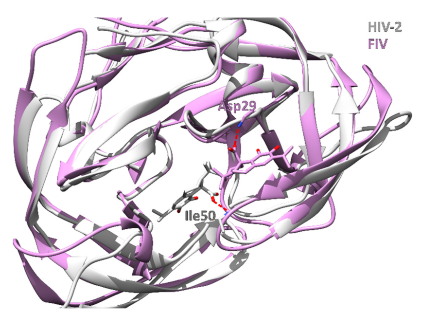 Foods 11 00067 g005 550
