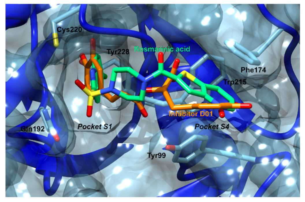 Foods 11 00067 g010 550