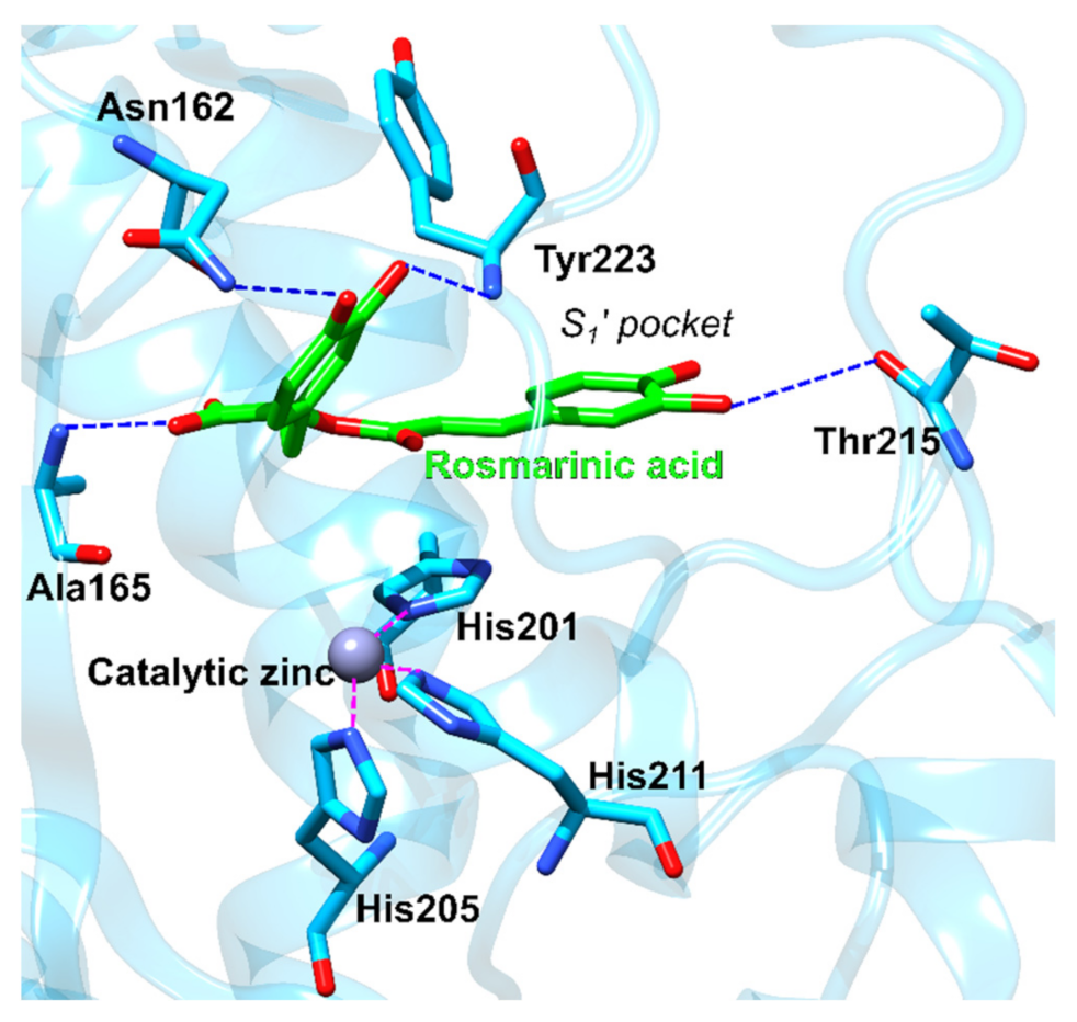 Foods 11 00067 g011 550