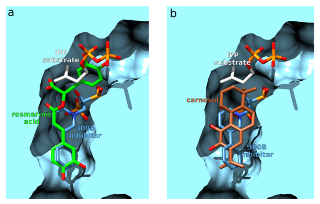 Foods 11 00067 g012 550