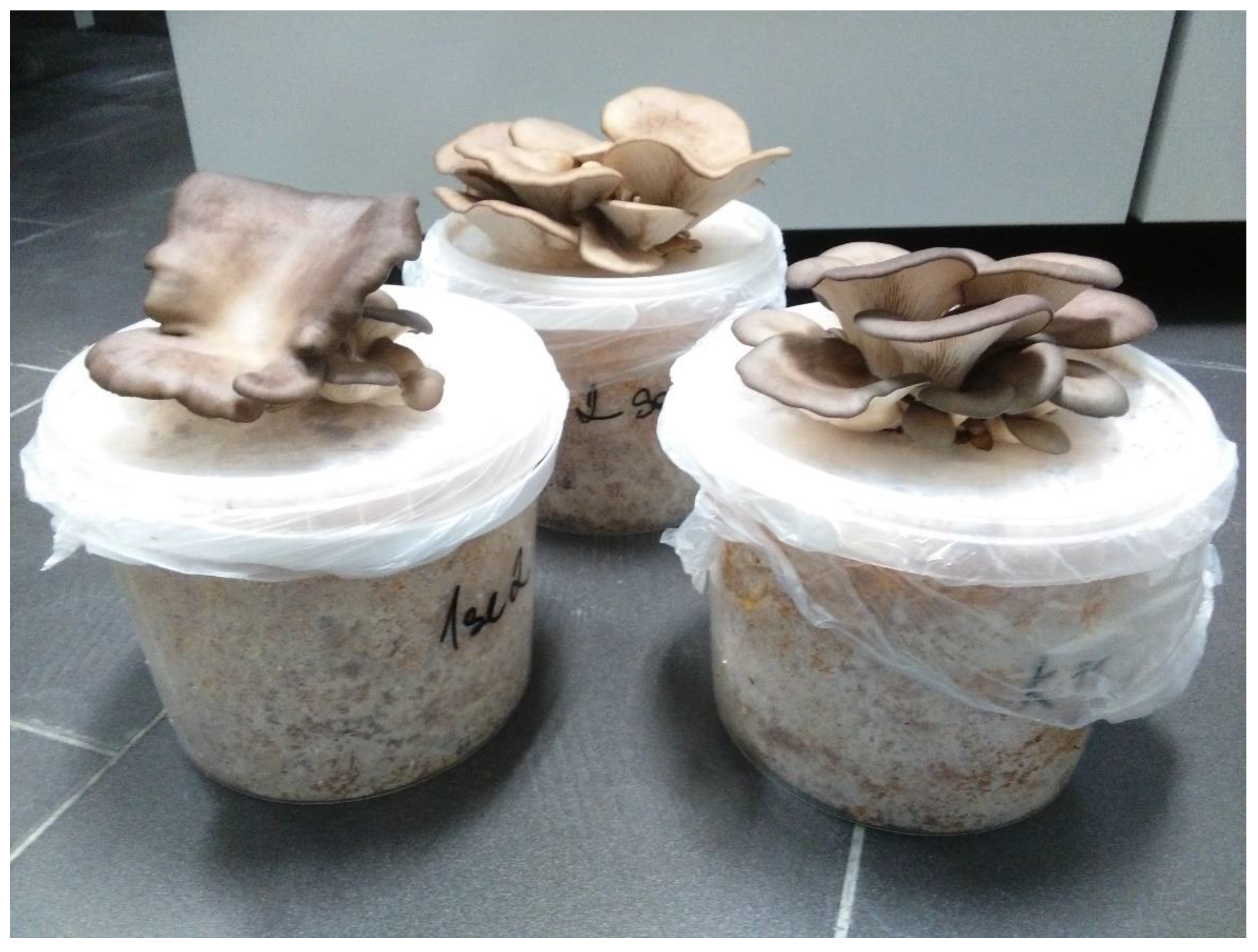 Foods 11 00076 g002 Foods 11 00076 g002