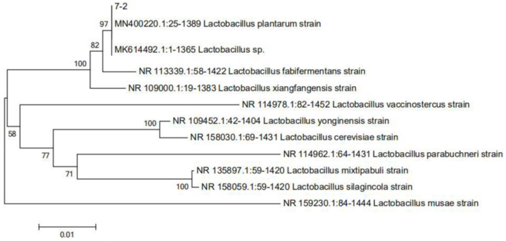 Foods 11 00088 g002 Foods 11 00088 g002
