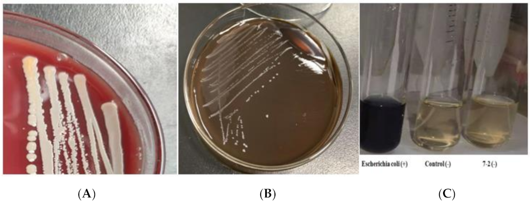 Foods 11 00088 g003 Foods 11 00088 g003
