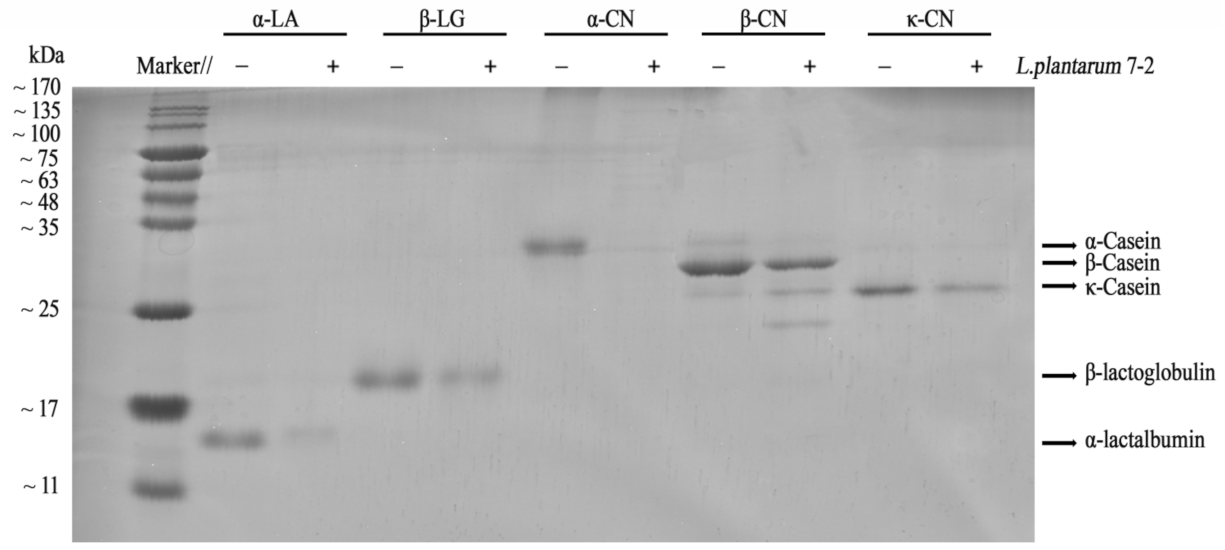 Foods 11 00088 g005 Foods 11 00088 g005