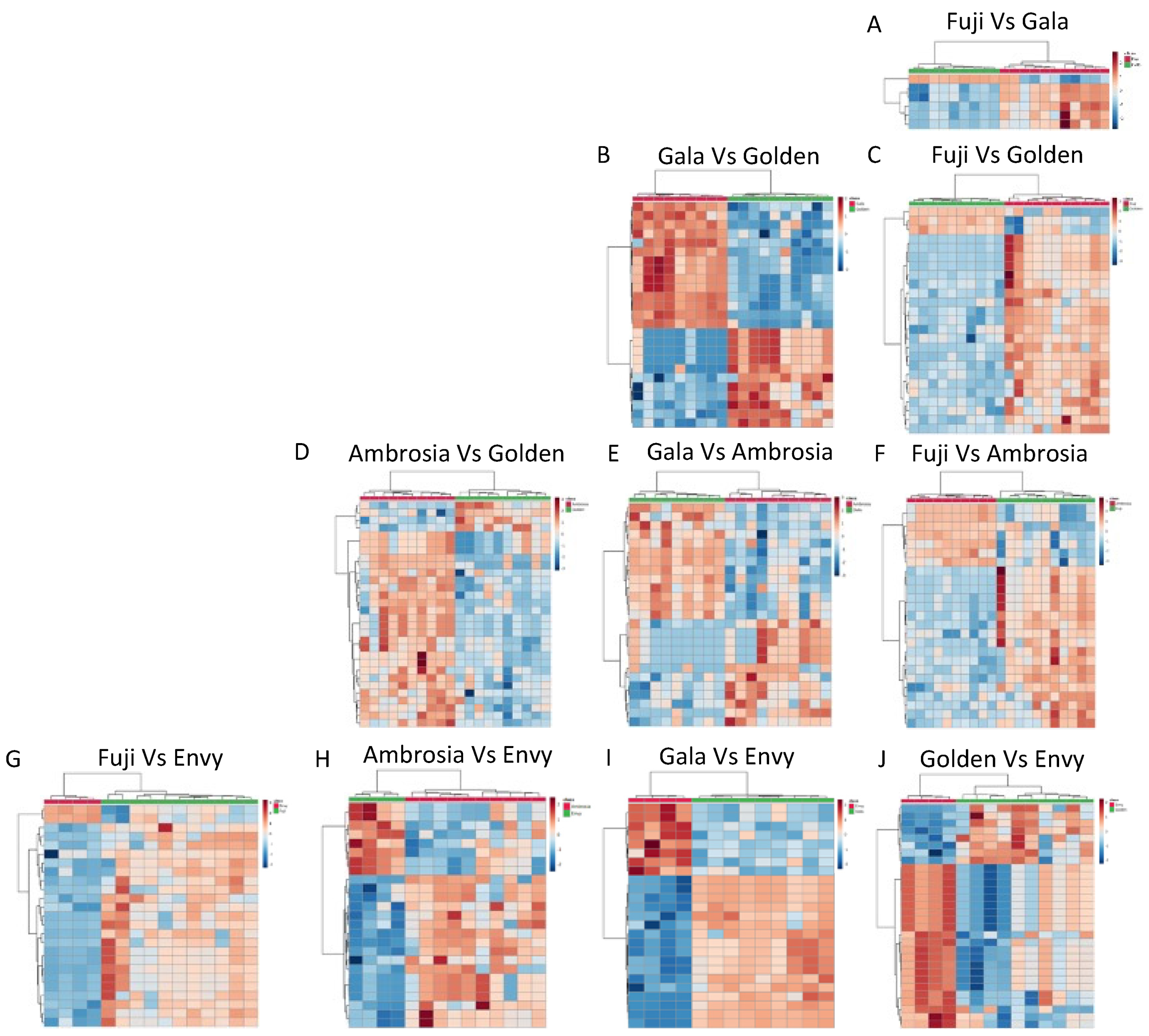 Foods 11 00089 g003 550