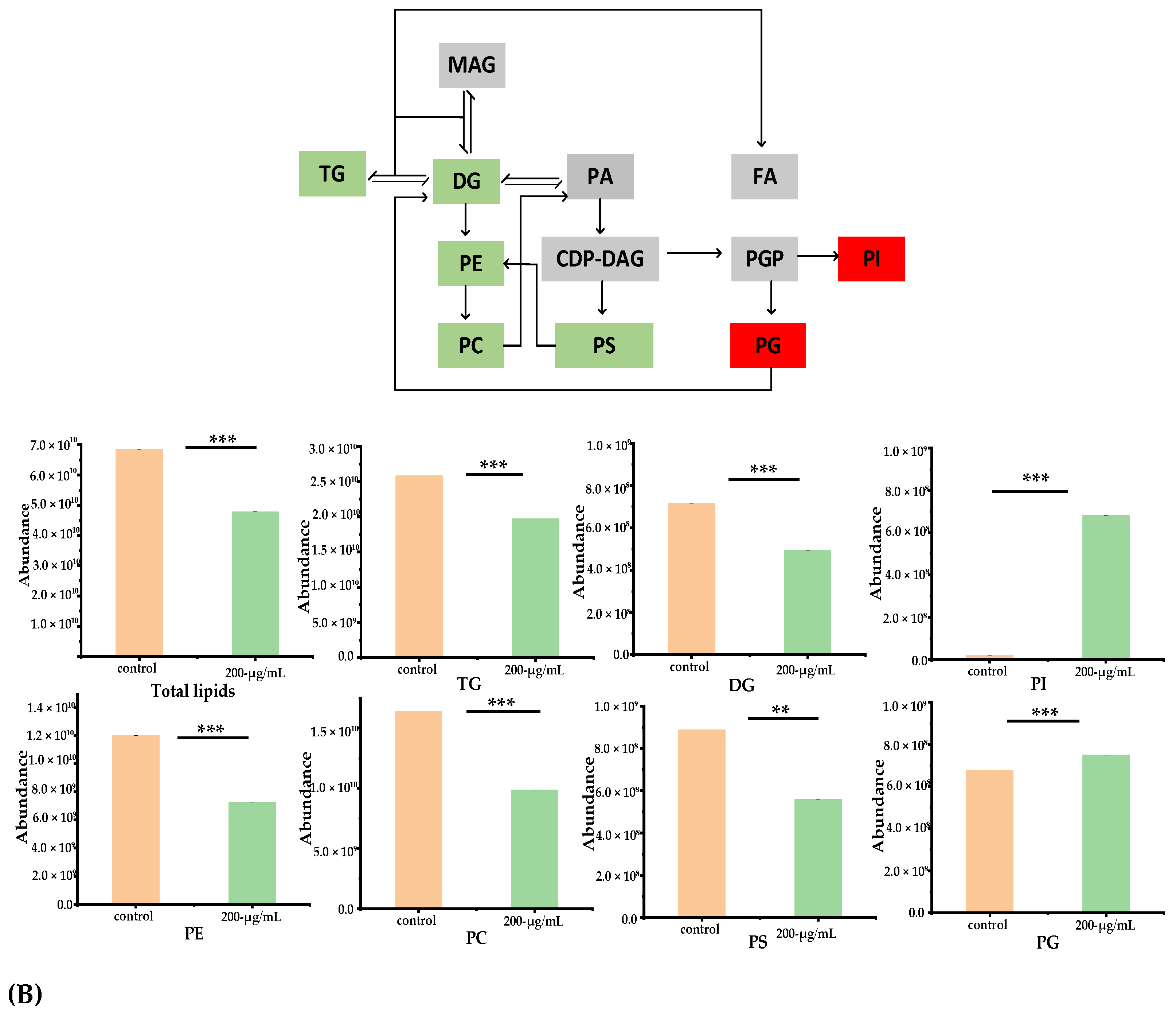 Foods 11 00093 g007b 550