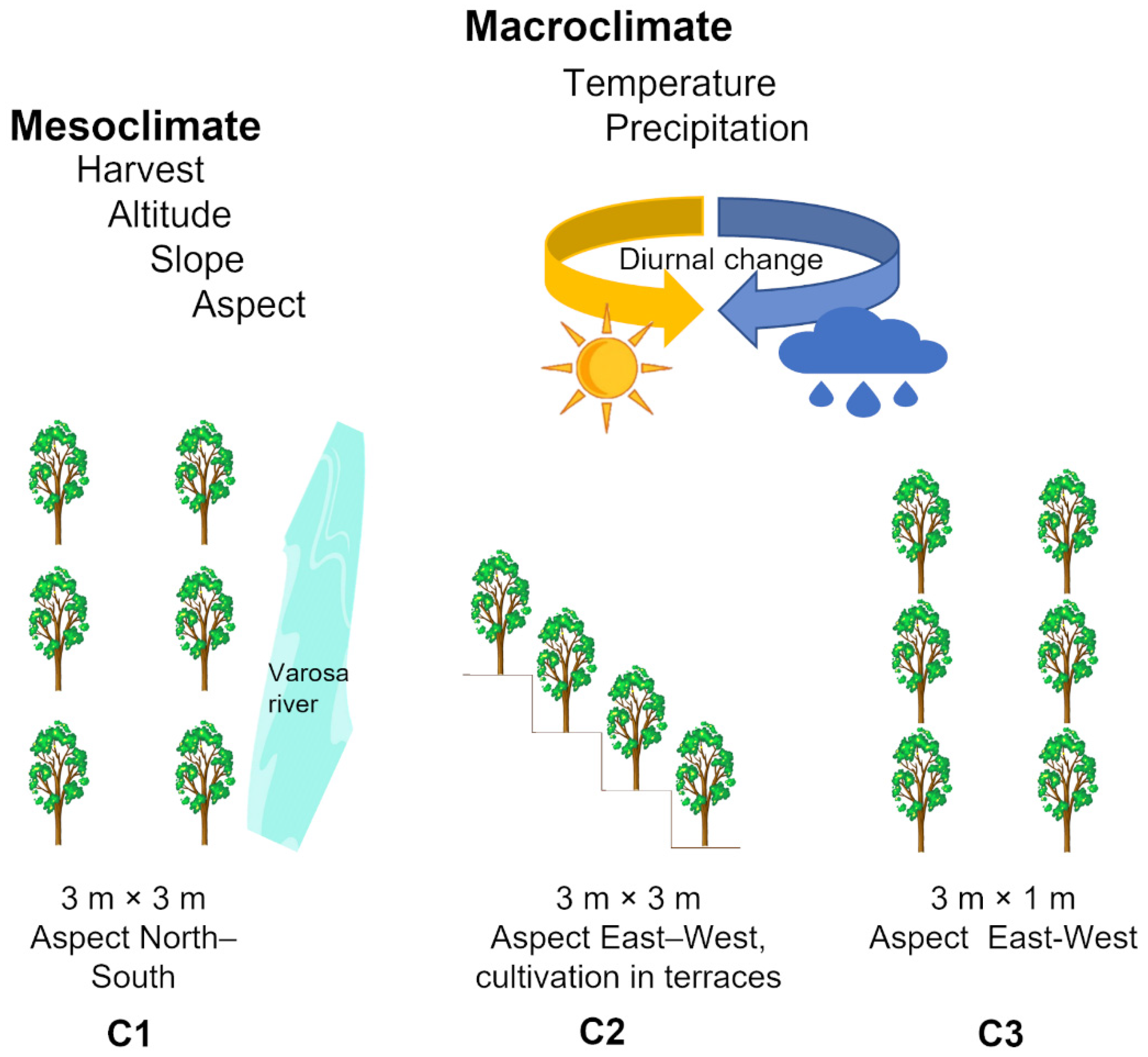 Foods 11 00104 g001 Foods 11 00104 g001