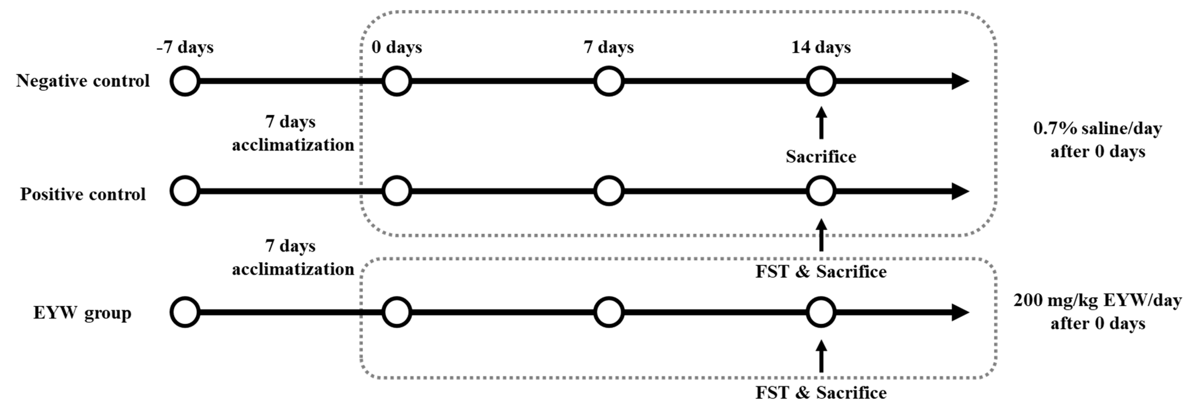 Foods 11 00121 g001 550