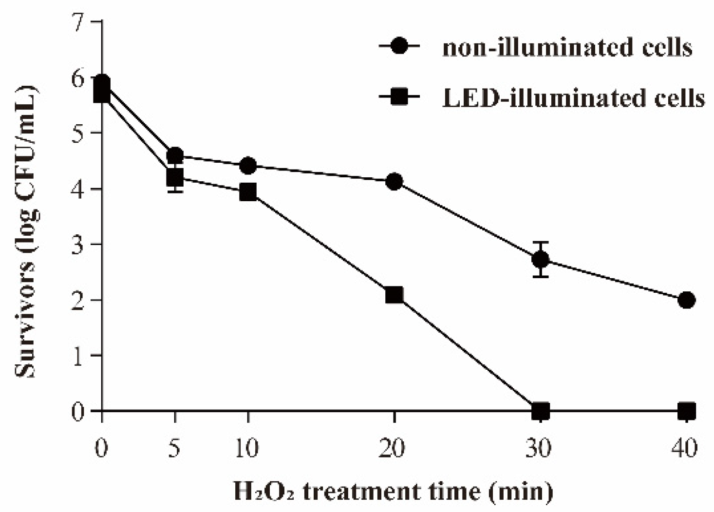 Foods 11 00136 g005 Foods 11 00136 g005